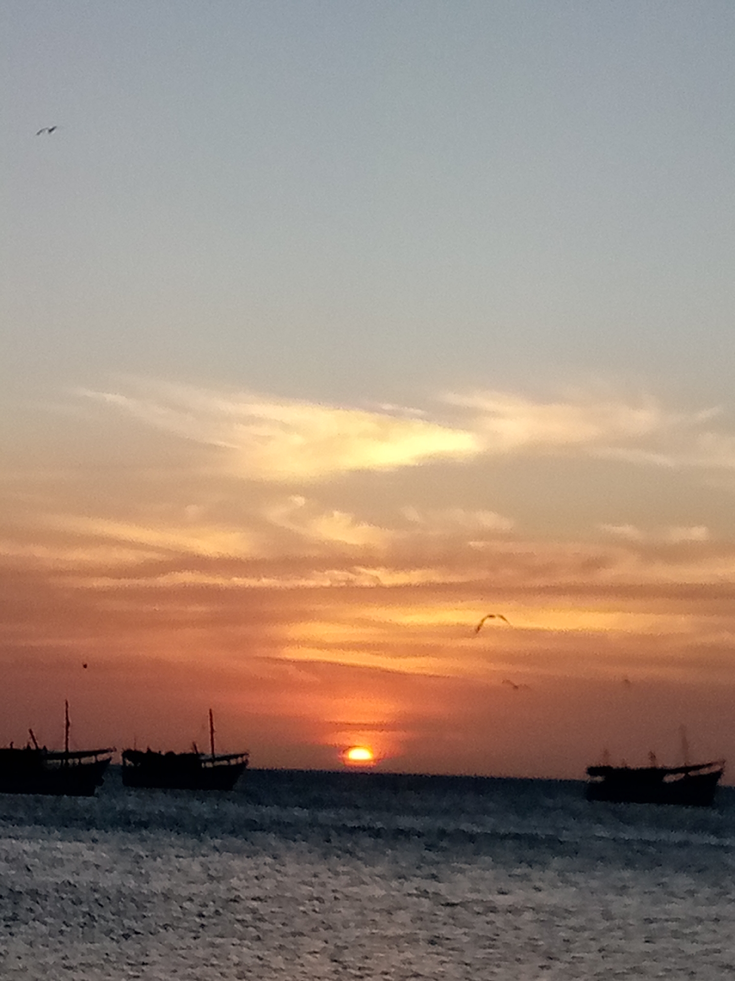 The image depicts a sunset over the sea in Juan Griego, Venezuela. Silhouetted boats are scattered across the water in the foreground. The sun is setting on the horizon, casting orange hues on the water and clouds. There are birds flying in the sky.