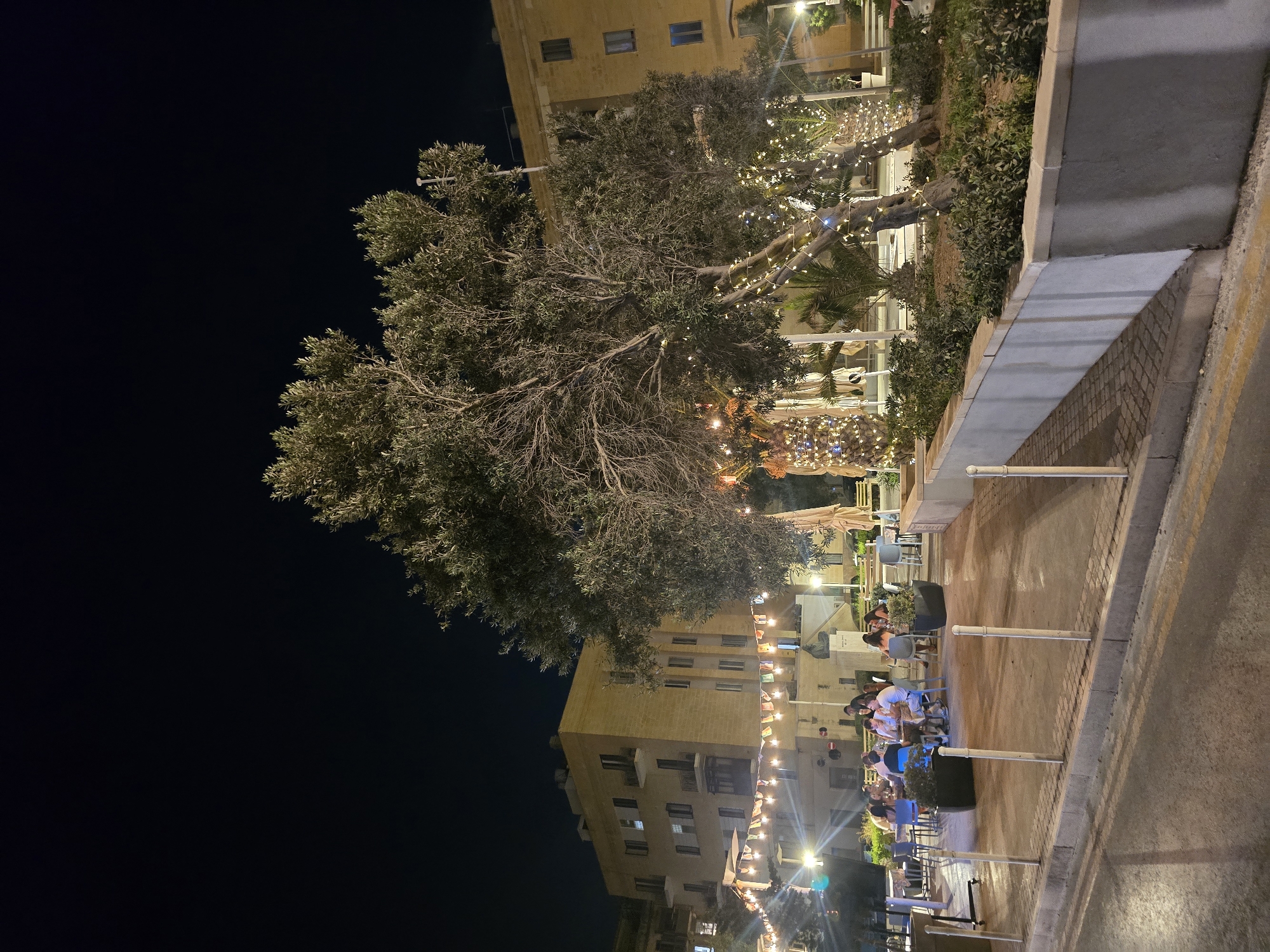 This is an exterior, nighttime, eye-level shot taken in Valletta, Malta, featuring a street-level restaurant area. The foreground shows a paved sidewalk with bollards and a street with yellow lines. A raised planter box filled with greenery is visible on the right. In the mid-ground, several tables and chairs are set up, with groups of people dining. A large tree, wrapped with decorative lights, stands prominently in the center, with smaller palm trees behind it. Further in the background, a multi-story building with illuminated windows and a statue are visible. String lights are also draped across the scene, contributing to the festive atmosphere. The sky is dark and clear.
