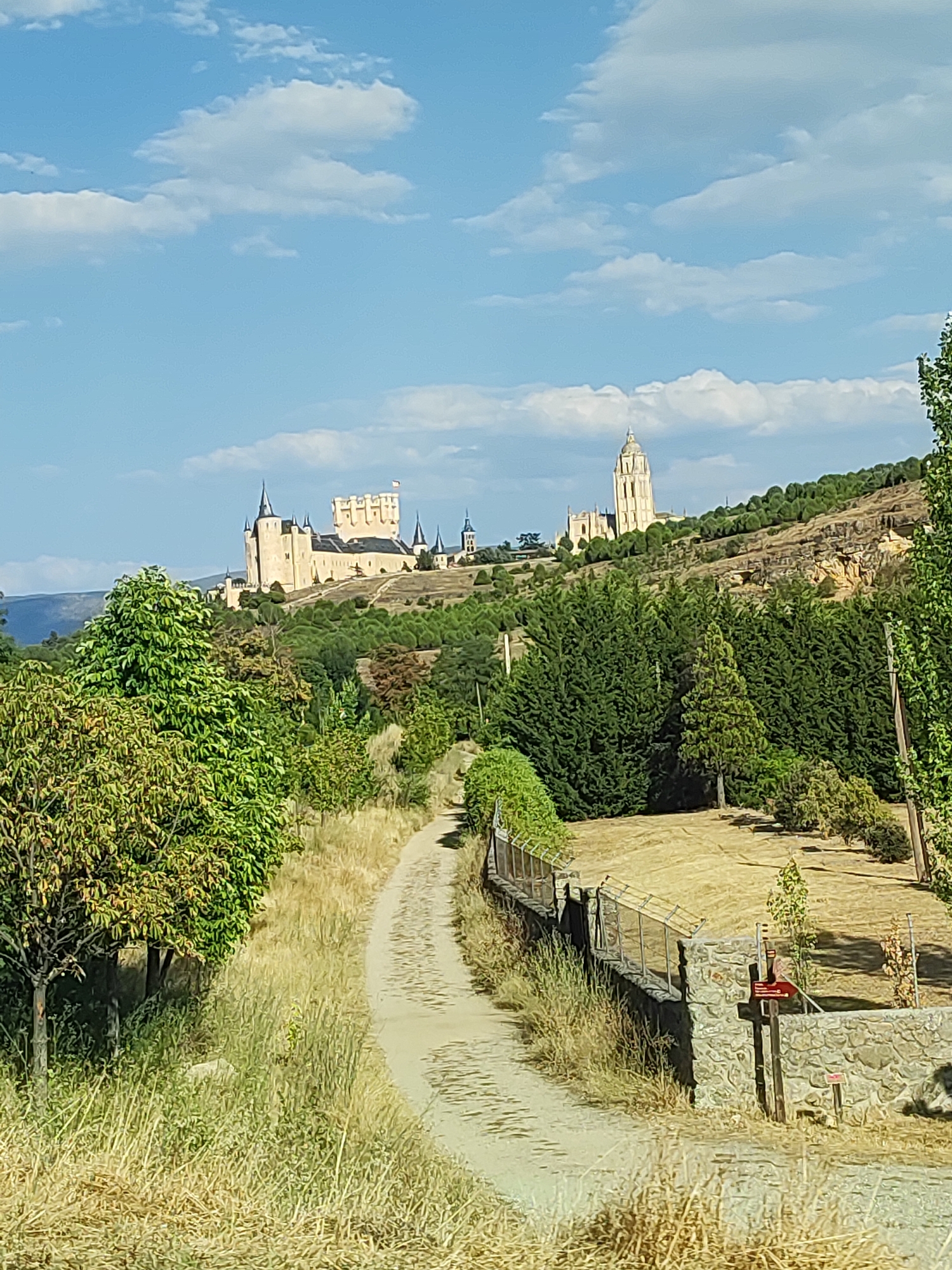 The image depicts the Alcázar of Segovia and the Cathedral of Segovia, prominent historical landmarks in the city of Segovia, Spain, situated on a hilltop. In the foreground, a dirt path winds through dry grass and vegetation, bordered by a stone wall and a wire fence. Trees with lush green foliage are scattered along the path and on the hillside. The background features the majestic structures of the Alcázar, characterized by its turrets and imposing architecture, and the towering spire of the Cathedral. The sky above is a clear blue with scattered white clouds. The overall scene conveys a sense of historical grandeur and natural beauty.