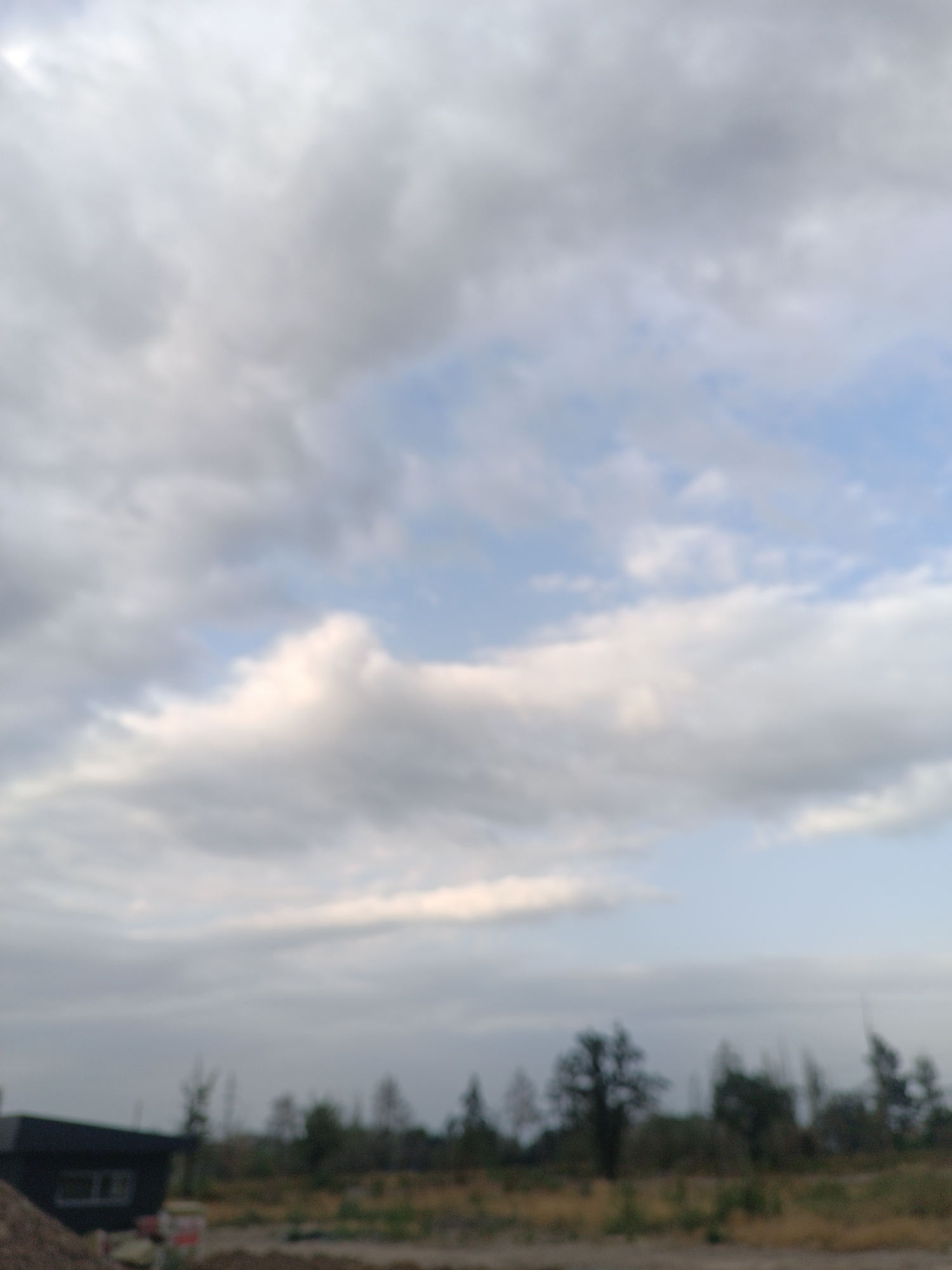 The image is a blurred, wide-angle view of an outdoor scene with a cloudy sky dominating the upper portion. In the lower left corner, a dark, rectangular structure, possibly a small building or shed, is visible. The ground in the foreground appears to be rough terrain, with some piles of dirt or gravel. A line of trees and foliage stretches across the horizon in the midground, with some taller trees standing out. The overall impression is of an undeveloped or semi-developed area, potentially on the outskirts of a city. There are no people or discernible actions visible in the image. The lighting suggests it might be overcast or late in the day.