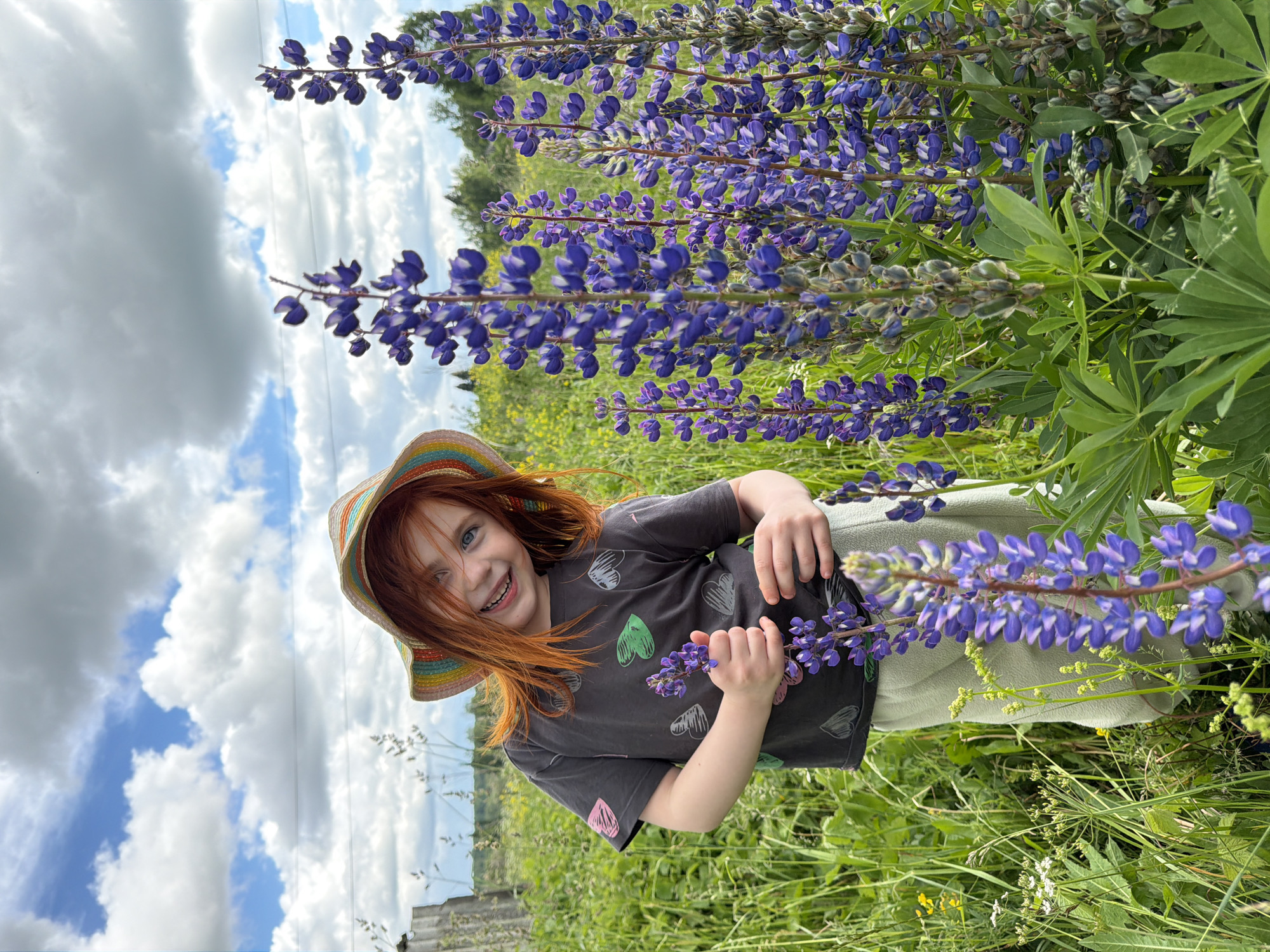 A young girl with bright red hair and a colorful hat smiles at the camera while standing in a field of lupine flowers. She is wearing a dark gray t-shirt with a heart pattern and light green pants. The girl is holding a stalk of lupine flowers in her right hand. The background shows a cloudy sky and a rustic wooden fence on the left side of the image. The location is identified as Panteleevka, Russia.