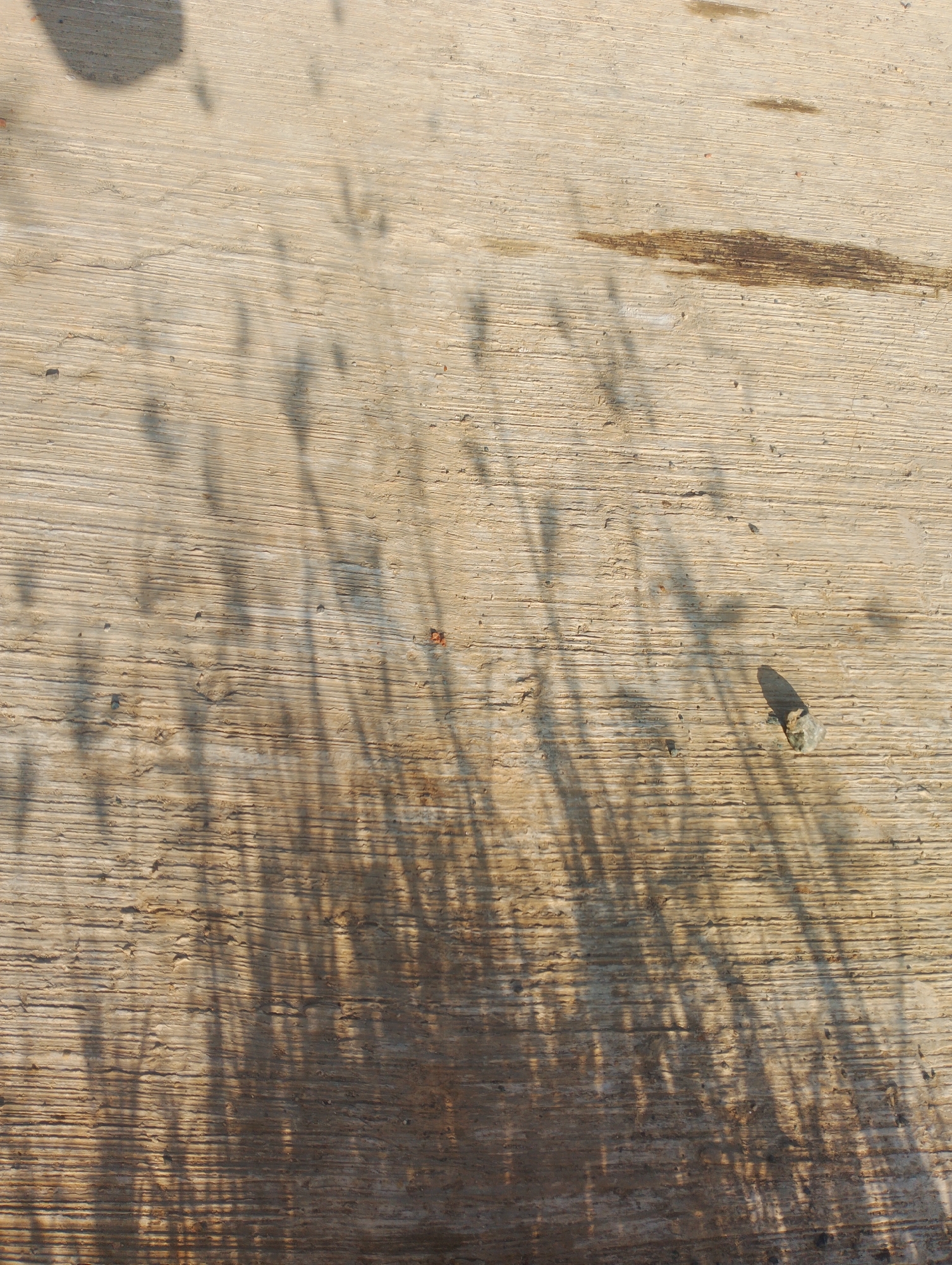 The image shows a close-up, overhead view of a light-colored, textured surface that appears to be concrete or a similar material. The surface has horizontal striations, indicative of its construction or wear. Cast upon this surface are numerous elongated, dark shadows, which suggest the presence of vegetation or thin objects positioned between a light source and the ground. The shadows are varied in length and density, creating a dappled pattern across the frame. There are also a few small, dark specks and a single, light-colored pebble with a distinct shadow located towards the right side of the image. The overall impression is a static scene, likely outdoors, with the play of light and shadow on a textured ground. The location in Batulicin, Indonesia, is not directly evident from the visual elements of the image itself, but the description focuses on the observable details.