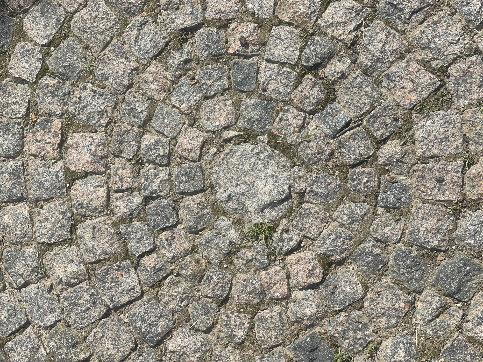 The image shows a circular pattern of cobblestones, likely made of granite, forming a pathway. The cobblestones are roughly square or rectangular and vary in color, with shades of grey, black, and pinkish-red. Some small blades of grass are growing in the cracks between the stones, suggesting an outdoor setting. The lighting indicates a sunny day, casting shadows on the textured surface of the stones. The arrangement of the cobblestones creates a radiating effect, with the center of the circle being slightly lighter and more worn than the outer sections.