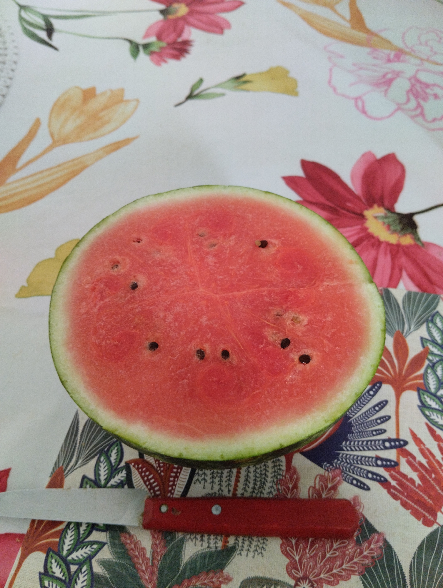 A half watermelon with seeds is presented on a floral patterned tablecloth. A knife with a red handle lies below the watermelon. The scene appears to be indoors, on a table. There are no people visible. The location is not Bordeaux, France.
