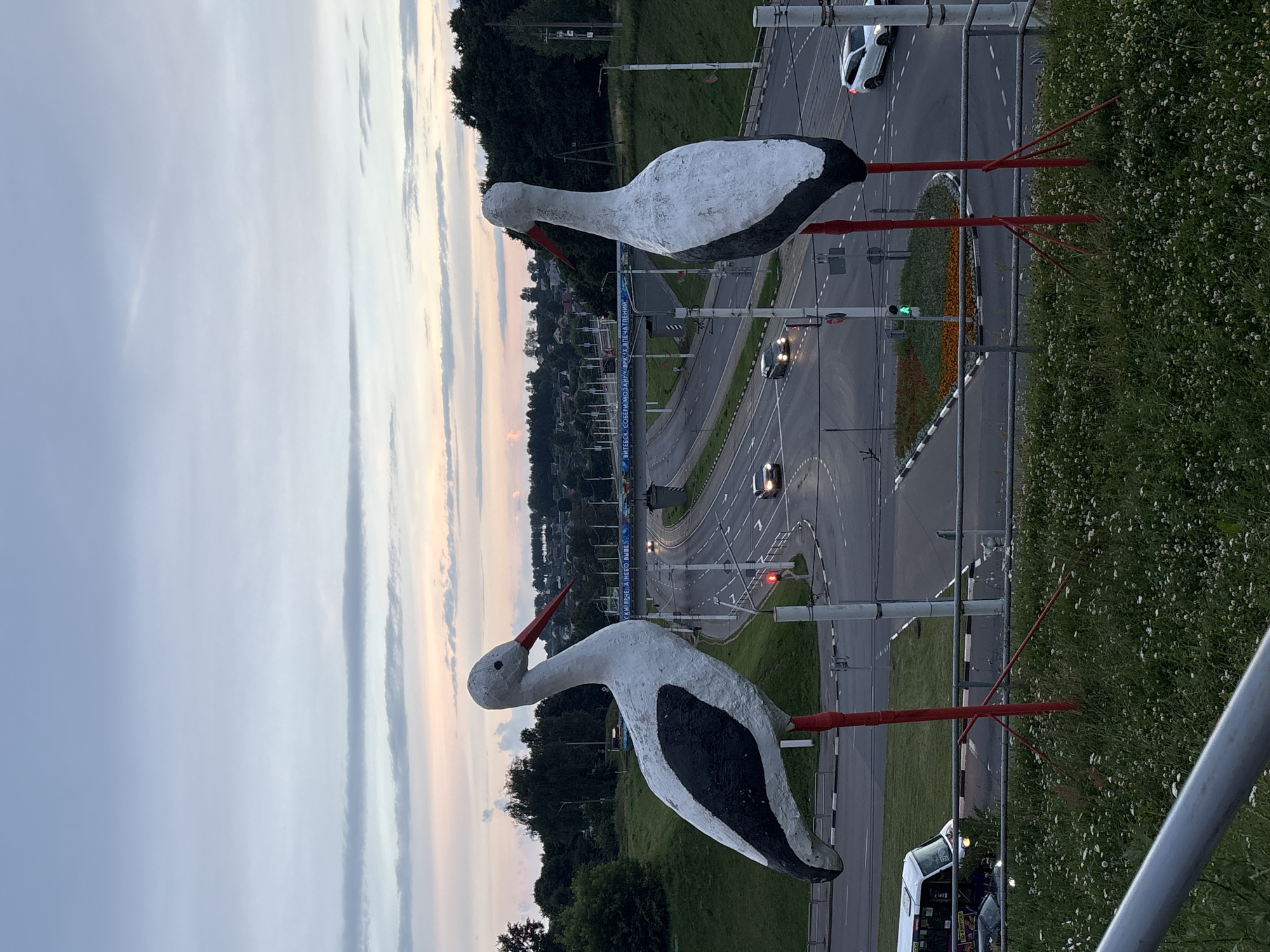 This photograph depicts a pair of large, white and black stork sculptures with red legs, positioned prominently in the foreground. The sculptures are situated on a grassy mound overlooking a multi-lane road intersection. The road is visible with cars driving, traffic lights, and pedestrian crossings. Beyond the road, a cityscape with buildings and trees is discernible. The sky is overcast with soft hues of pink and blue, suggesting either dawn or dusk. A banner with Cyrillic text is visible over the road, which reads "ВИТЕБСК. СОБЕРИ МОЗАИКУ ЯРКИХ ВПЕЧАТЛЕНИЙ" which translates to "Vitebsk. Collect a mosaic of bright impressions". The scene appears to be a roadside attraction or landmark in the city of Vitsebsk, Belarus.