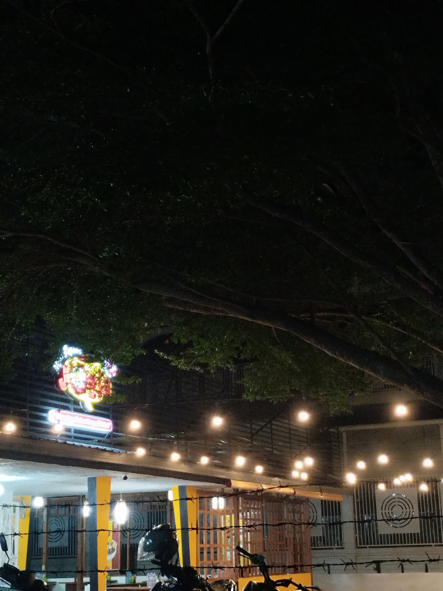 The image depicts an outdoor scene at night, likely in Lhokseumawe, Indonesia, illuminated by string lights and a decorative sign. The foreground is partially obscured by barbed wire, behind which a motorcycle helmet is visible. In the midground, a building with yellow and gray columns is seen, along with windows and doorways. String lights are draped across the scene, casting a warm glow. Above the building, a large tree with dark leaves and branches dominates the upper portion of the image, creating a canopy. A brightly lit, colorful sign, possibly indicating a business or establishment, is mounted on the building. The overall impression is that of a street-side dining area or a gathering spot at night. The time of day is clearly night, as indicated by the darkness and artificial lighting. There are no people visibly active in the scene, suggesting a quiet or recently closed establishment. The presence of barbed wire might indicate a security measure or a boundary. The lush foliage of the tree suggests a tropical or subtropical climate.