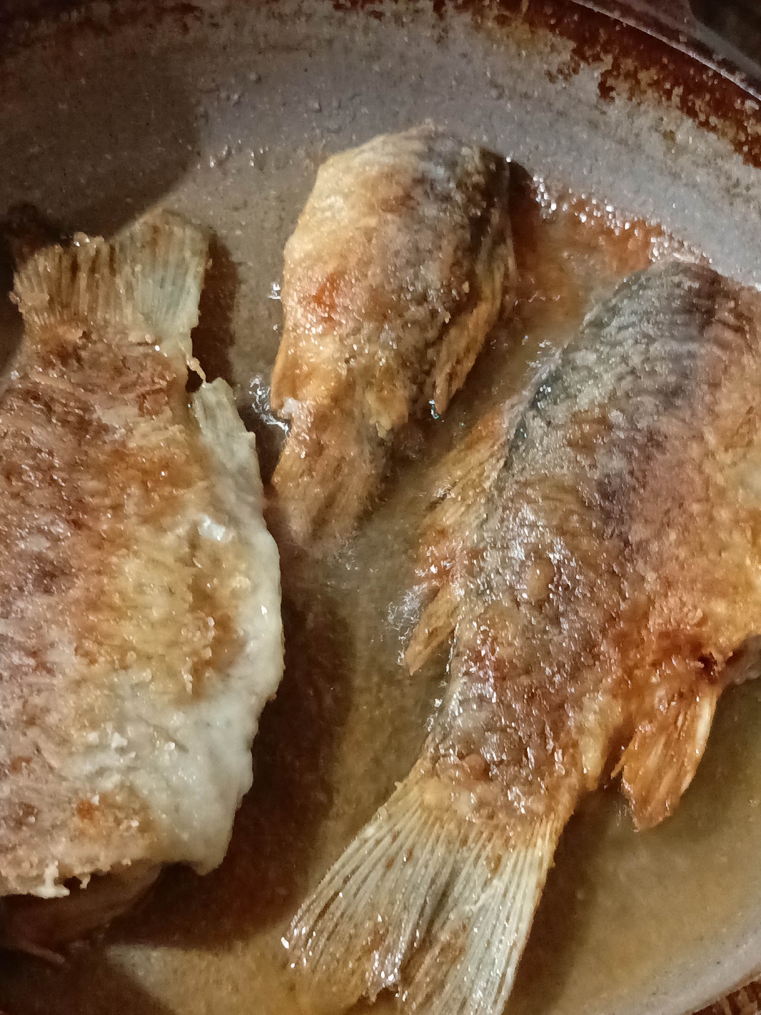 The image shows three fried fish in a pan. The fish are golden-brown and appear to be cooked in oil. The pan is gray and has a rough texture. The image was likely taken indoors. There is no evidence to suggest that this image was taken in Zalesovo, Russia.