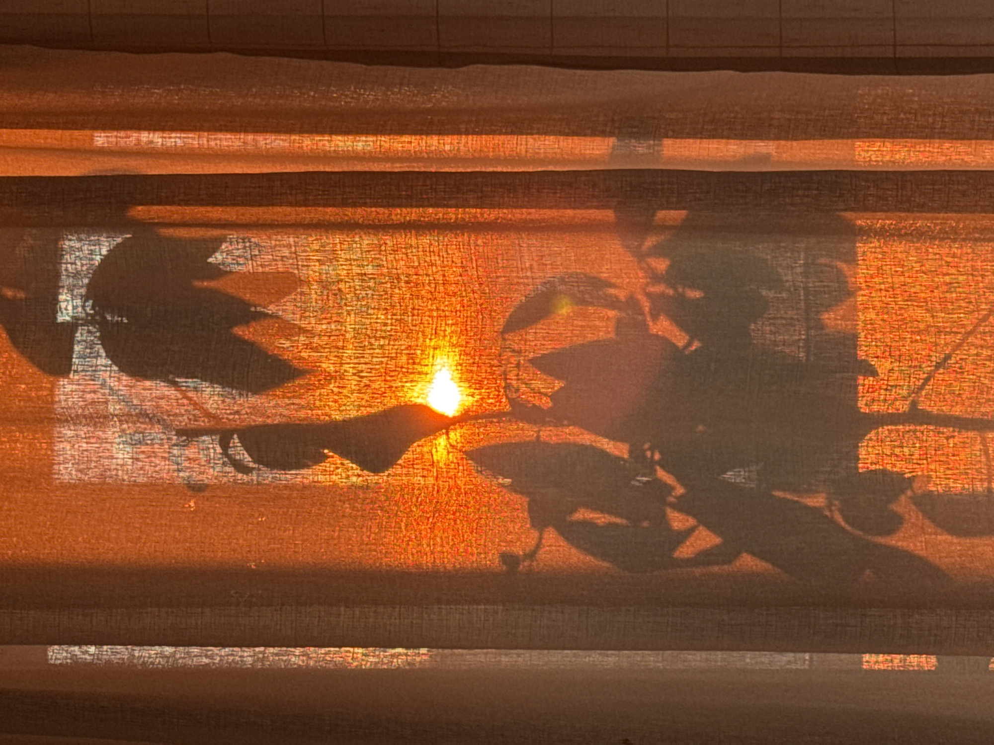 The image shows sunlight streaming through a window covered by a light-filtering shade or curtain. The light is filtered, creating an orange hue throughout the scene. Shadows of leaves and branches are cast on the shade, suggesting a plant is located outside the window. The strong sunlight suggests it might be sunrise or sunset. The location within Varna, Bulgaria, is impossible to determine from the image alone.