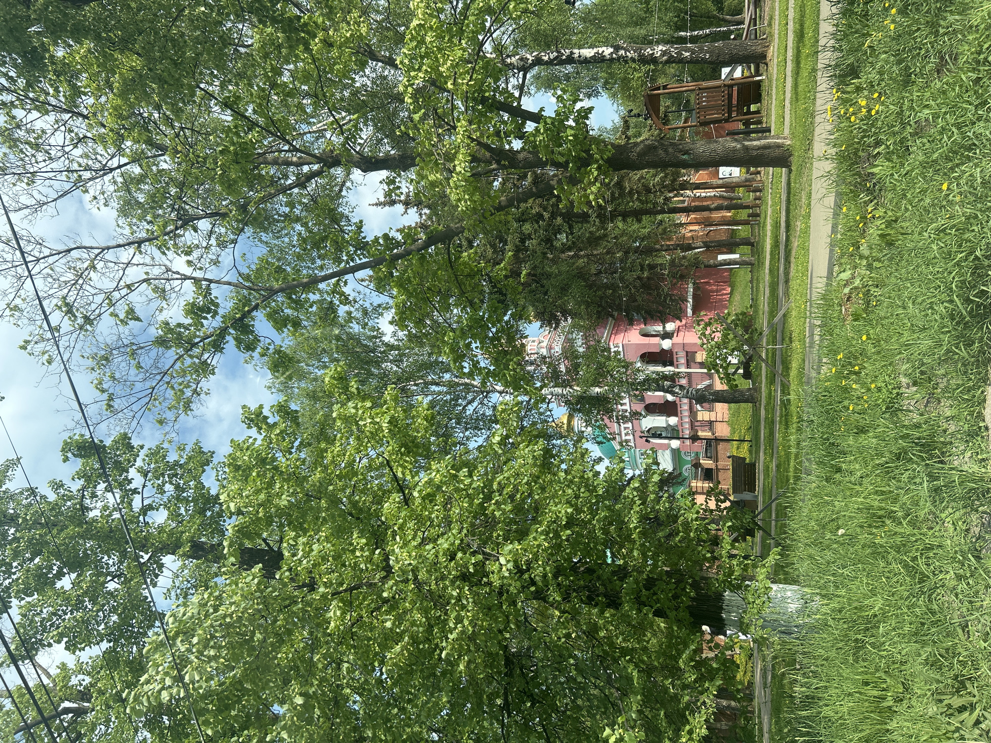 The image captures a street view in Izhevsk, Russia, with the backdrop of a church featuring a pale pink facade and green rooftops with golden domes. Lush green trees dominate the foreground, their branches reaching up towards a sky partially visible through the foliage. Utility lines are visible intersecting the sky. A strip of green lawn with yellow wildflowers runs alongside a paved pathway. A wooden structure resembling a playground or a shelter is situated near the trees, adding a touch of urban tranquility to the scene.