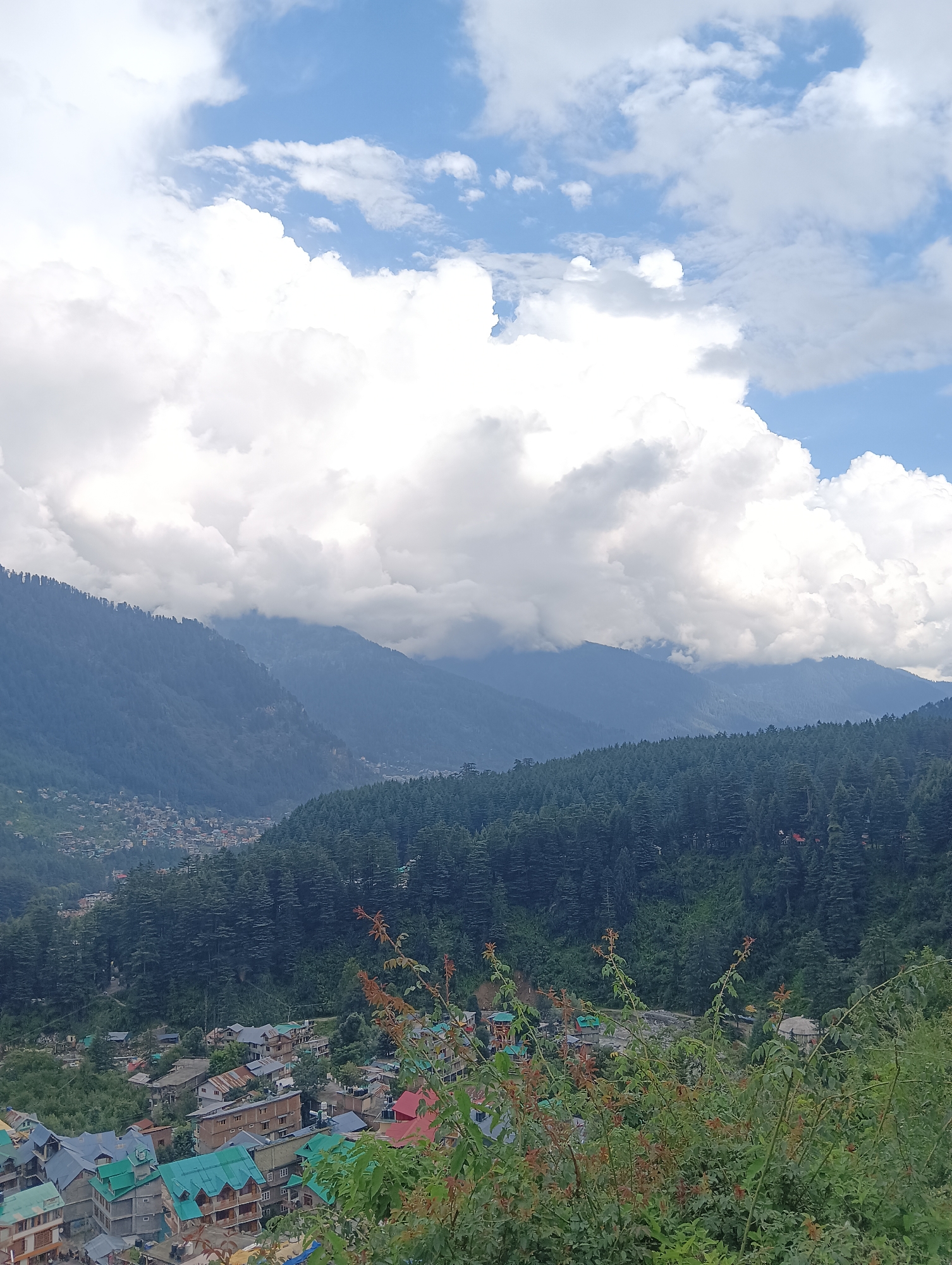 A wide-angle shot captures a sprawling view of the city of Manali, India, nestled within a valley of lush green mountains. The sky above is a dynamic canvas of white cumulus clouds against a backdrop of pale blue. The mountains, draped in a dense coniferous forest, rise majestically, their peaks disappearing into the hazy distance.
The midground reveals the settlement of Manali, a dense collection of buildings with colorful rooftops, predominantly green and red, scattered across the lower slopes. The architecture appears to be a mix of traditional and modern styles, with multi-story structures evident. Some buildings are partially obscured by the dense foliage.
In the foreground, a cluster of green bushes, some with reddish-brown leaves, partially frames the scene, suggesting an elevated viewpoint. The overall impression is one of a picturesque mountain town set against a dramatic natural landscape. There are no visible people or animals in the frame, and the image depicts a static, natural scene.