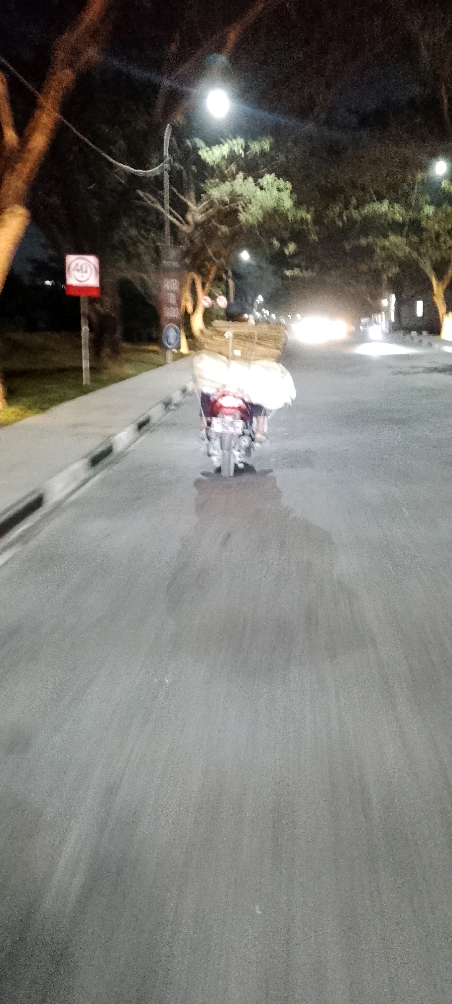 A motorcycle is traveling on a paved road at night, carrying a large load of bundled materials on its rear rack. The rider is wearing dark clothing. The motorcycle's taillight is illuminated. The road has a curb on the left side and a sidewalk beyond that. Trees line the side of the road, and streetlights are visible in the background, casting light on the trees and road. A speed limit sign indicating "40" is visible on the left. The image appears to have been taken from another moving vehicle, resulting in motion blur. The scene is set in Satriamekar, Indonesia.
