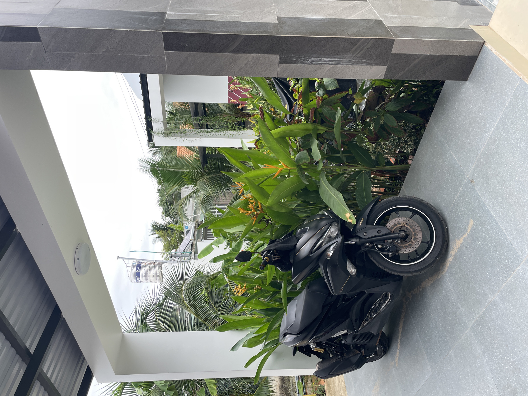 A black Yamaha NVX 155 scooter is parked on grey tiled paving in Phu Thuy Ward, Vietnam. The scooter is positioned near a planter with a variety of green plants, including Heliconia psittacorum. The environment includes part of a building with grey tiled exterior walls and a white painted porch structure. In the background, there are glimpses of other buildings, palm trees, and utility structures. The lighting is diffused and suggests an overcast day.