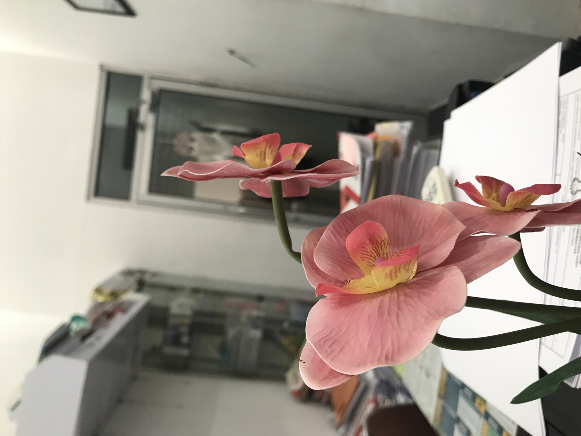 The image depicts artificial pink and yellow orchids in an indoor setting. A window is visible in the background. The items are situated on a desk with paperwork and other office supplies. The location is likely Lhokseumawe, Indonesia. No people are visible.