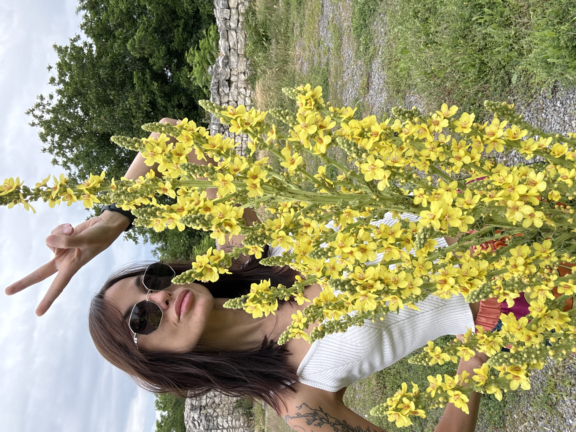 A young woman with dark hair, sunglasses, and a white tank top stands in front of a tall stalk of yellow flowers. She is making a peace sign with her right hand. Behind her is a stone wall and lush greenery, suggesting an outdoor location. The woman's outfit includes a colorful skirt, and she has tattoos on her left arm. The scene appears to be a sunny day with some cloud cover. The location is the Regional Historical Museum in Pleven, Bulgaria.