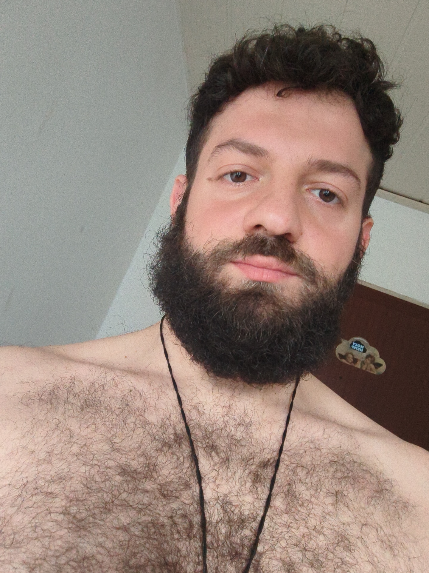A close-up selfie shows a man with dark curly hair and a full, dark beard. He has fair skin and brown eyes. He is shirtless, with noticeable chest hair, and wears a thin black cord necklace. The background includes a white wall and a dark door with a cloud-shaped sticker featuring illegible text. No direct indications of Diepholz, Germany, are visible in the image.
