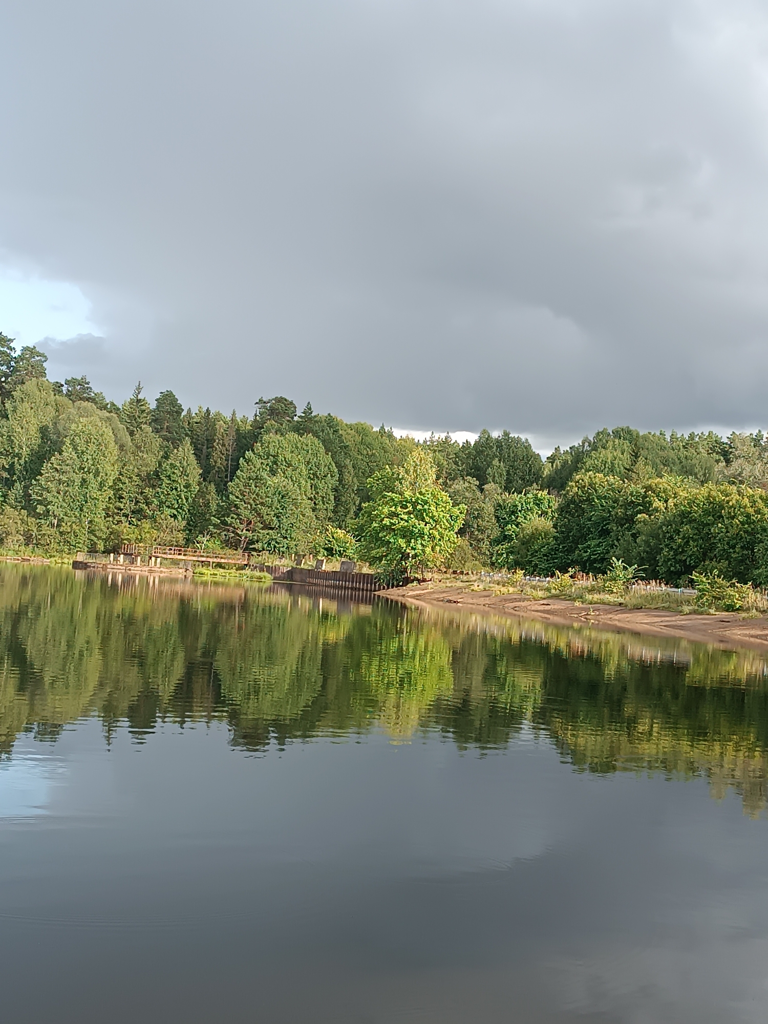 This image depicts a serene natural landscape with a calm body of water in the foreground, reflecting a lush green treeline along the opposite bank. The sky above is overcast with dramatic, dark gray clouds, suggesting an impending change in weather. The treeline is dense with a variety of deciduous and coniferous trees, creating a textured, vibrant green wall. A wooden structure, possibly a pier or a small bridge, is visible along the water's edge, partially extending into the water. The water itself is dark and smooth, with ripples creating subtle distortions in the reflections of the trees and sky. The scene appears to be located in the city of Opary, Russia, a region known for its natural beauty and forests. There are no people or animals visible in the image. The overall impression is one of peaceful, untamed nature.