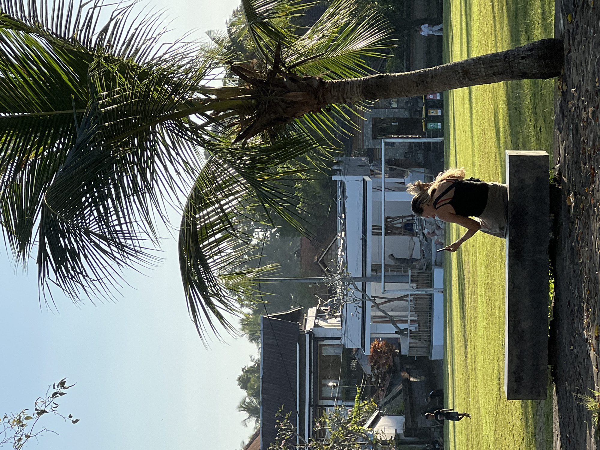 This outdoor photograph captures a sunny, tranquil scene in Ubud District, Indonesia, featuring a prominent palm tree, a green lawn, and several individuals.
In the foreground and mid-ground, a tall coconut palm tree stands on the left, its long green fronds extending into a clear, bright blue sky. On the right side of the image, a woman with blonde hair, wearing a black tank top and light-colored bottoms, leans against a grey concrete bench or wall. She is holding a black smartphone in her right hand, seemingly engaged with it or observing something out of frame.
The central part of the image is dominated by a lush, well-maintained green grass field, brightly illuminated by sunlight, suggesting either morning or late afternoon. On the grass, further back from the woman, another person is visible walking or standing, and a figure in white attire can be seen in the far distance. Closer to the foreground on the grass, behind the concrete bench, a smaller, child-like figure is present.
In the background, behind the lawn, several white-walled buildings with dark roofs are visible, indicative of local architecture, possibly part of a resort or guesthouse. Near the base of the palm tree on the grass, there are three waste bins: a green one labeled "ORGANIC," a yellow one marked "RECYCLE," and a red one for "MIXED WASTE." The weather is clear and sunny, contributing to the serene atmosphere. A small, leafy branch is visible against the sky in the lower left corner.