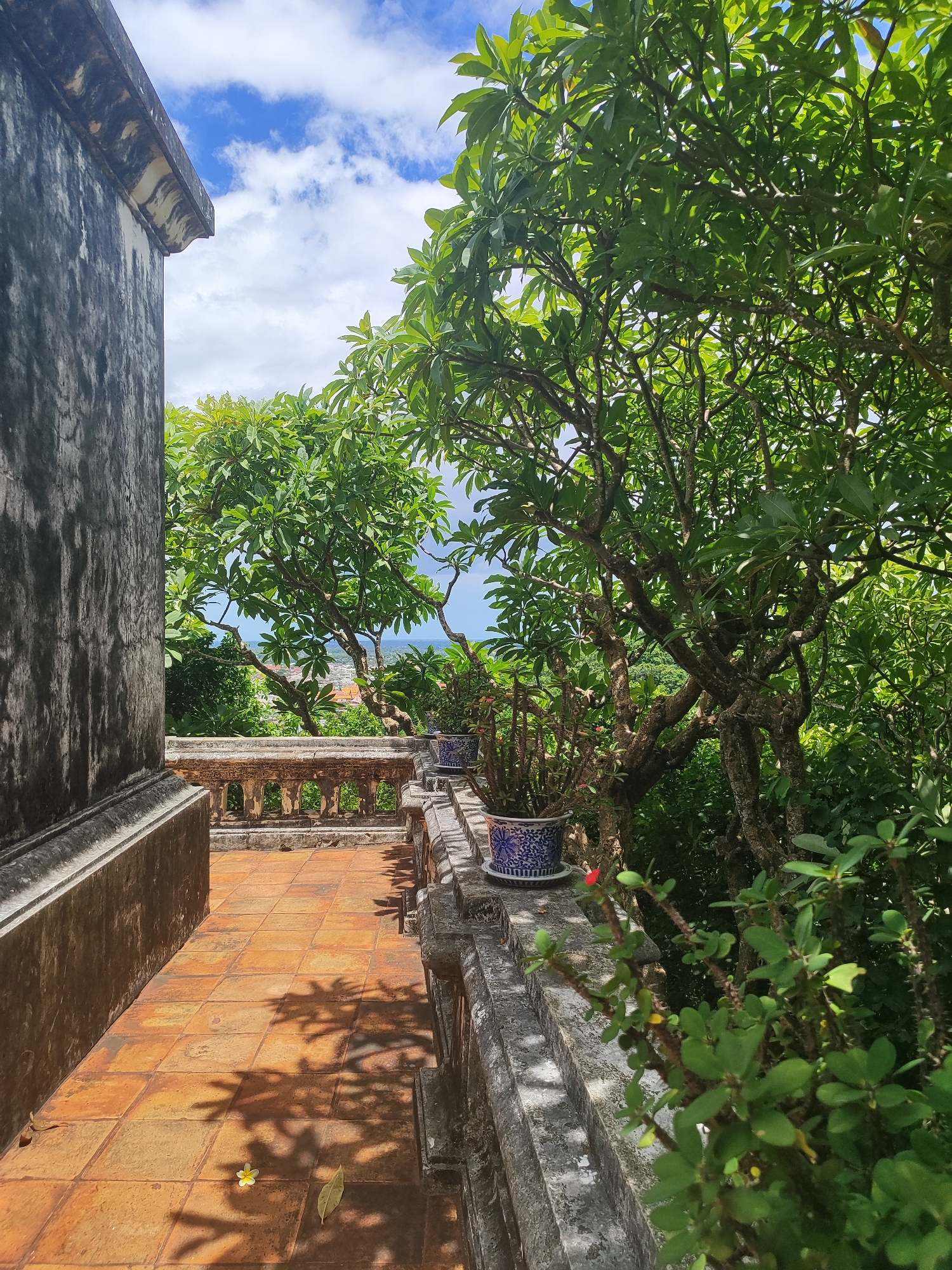 This is a medium shot taken from a tiled terrace area on a sunny day, likely at Wat Khao Bandai It in Phetchaburi, Thailand. The terrace is lined with a stone balustrade, beyond which lush green trees and foliage are visible, with hints of buildings and a cityscape in the distance. On the terrace, there is a large, weathered stone wall on the left, casting shadows on the reddish-brown tiled floor. A single white and yellow flower and a fallen leaf are on the tiles. In the foreground, on the balustrade, are several potted plants, one of which is a blue and white patterned ceramic pot containing a plant with spiky stems and small green leaves, with a small red flower blooming. Another planter is visible further down the balustrade. The sky above is blue with scattered white clouds. The overall impression is of a tranquil, elevated garden space.