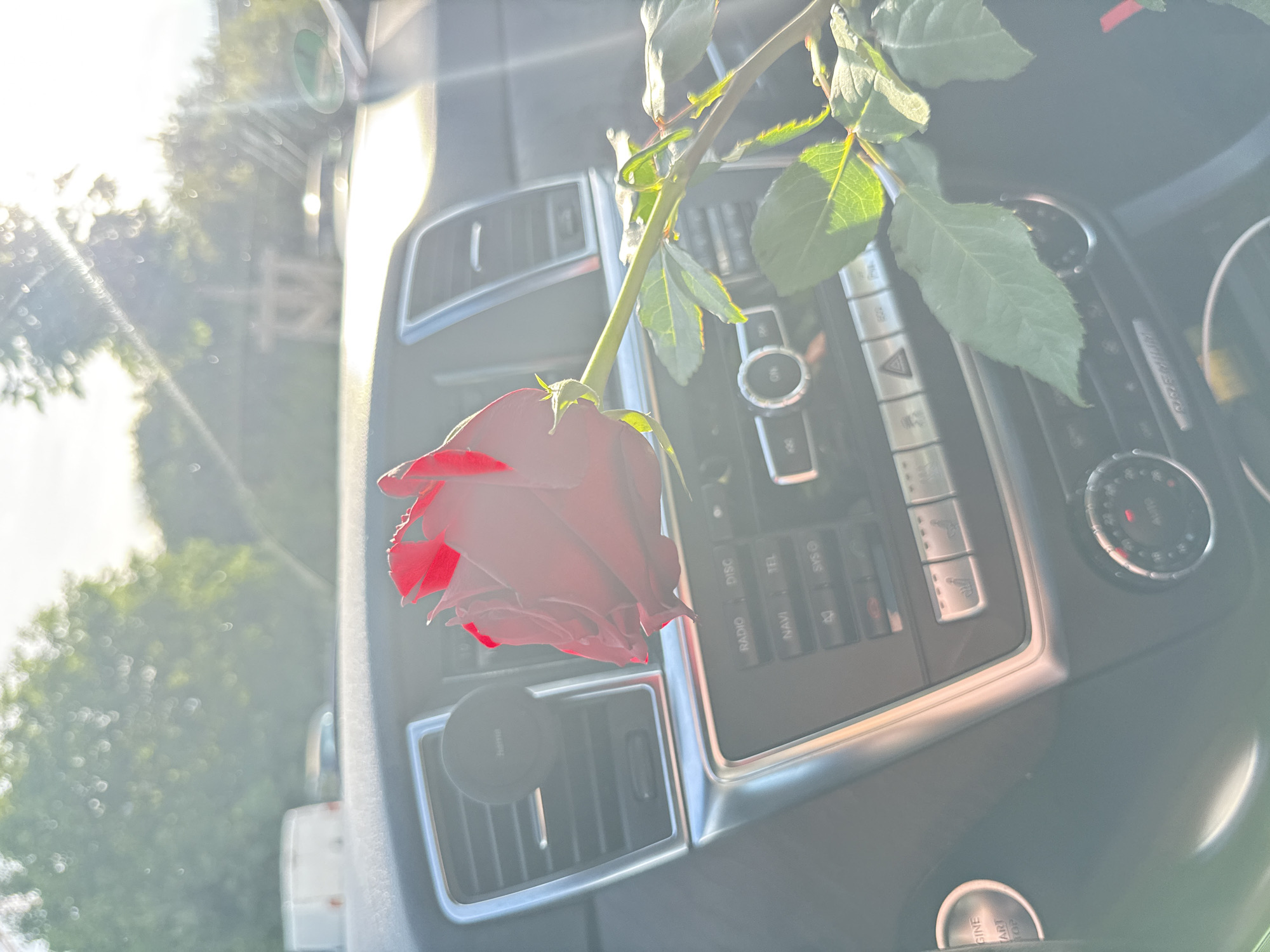 The image depicts a red rose placed on the dashboard of a car. The car's interior is visible, including air vents, buttons for the radio and climate control, and a start/stop engine button. Sunlight streams into the car, creating lens flare. The background shows blurred greenery and trees, suggesting an outdoor setting, possibly a street or parking area. There are no people visible in the image. The scene appears to be a candid shot focused on the rose and the car's interior. The specific location in the city of Plovdiv, Bulgaria cannot be determined from the visual information provided.