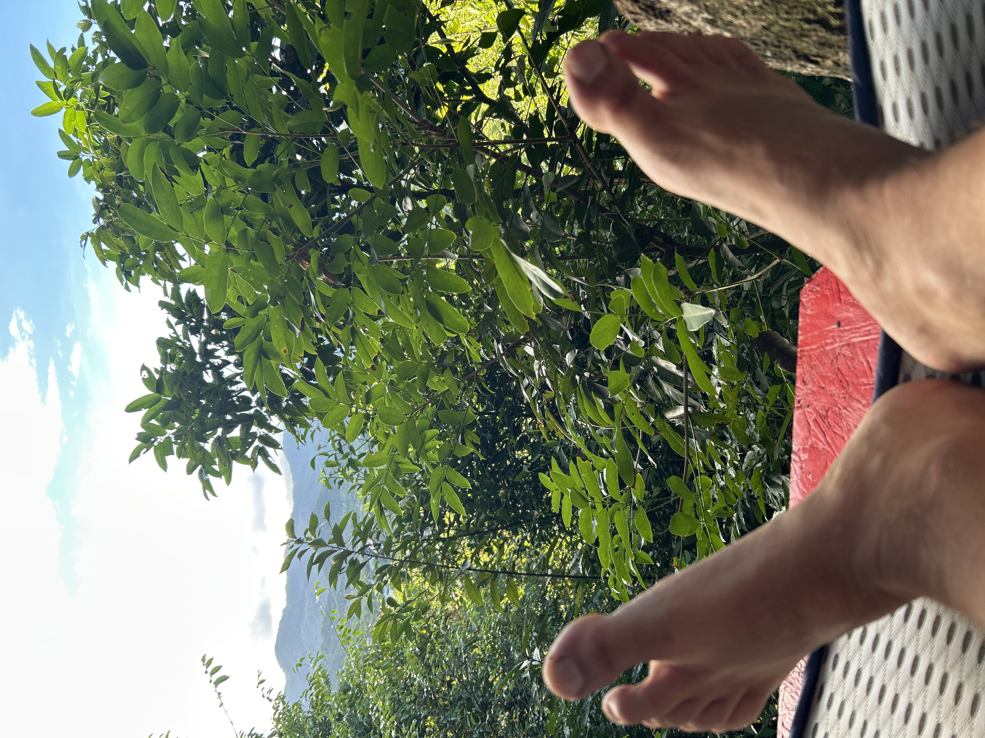 The image shows a view from a seated position, likely on a veranda or balcony in ตำบลเกาะพะงัน, Thailand. In the foreground are a person's feet resting on what appears to be a red, painted surface, possibly a low table or chair arm. The foreground shows a chair. Beyond the feet and platform, lush green foliage dominates the middle ground. The trees suggest a natural environment. In the background, a portion of a mountain range is visible, partially obscured by trees. The sky is light blue with wispy clouds.