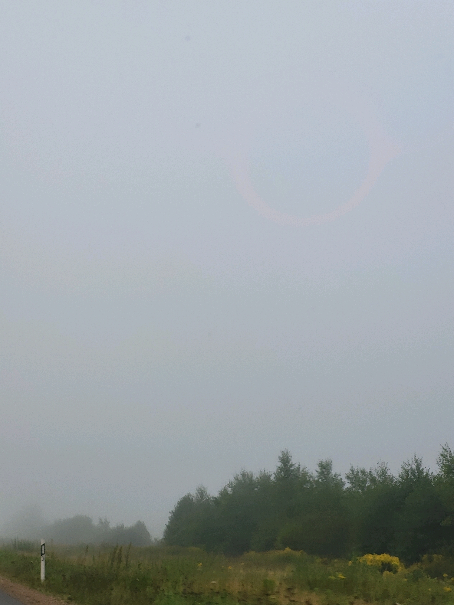 The image depicts a foggy natural landscape. In the foreground, a portion of a road is visible on the left, accompanied by a white road marker with a black horizontal bar. The ground is covered with green grass and some yellow wildflowers. A dense line of dark green trees forms the middle ground, stretching across the frame. The background is obscured by thick fog, with only faint hints of shapes and a circular, reddish-orange discoloration visible in the upper portion of the sky. The overall impression is one of low visibility due to the fog. This scene is located in Jordāni, Latvia.