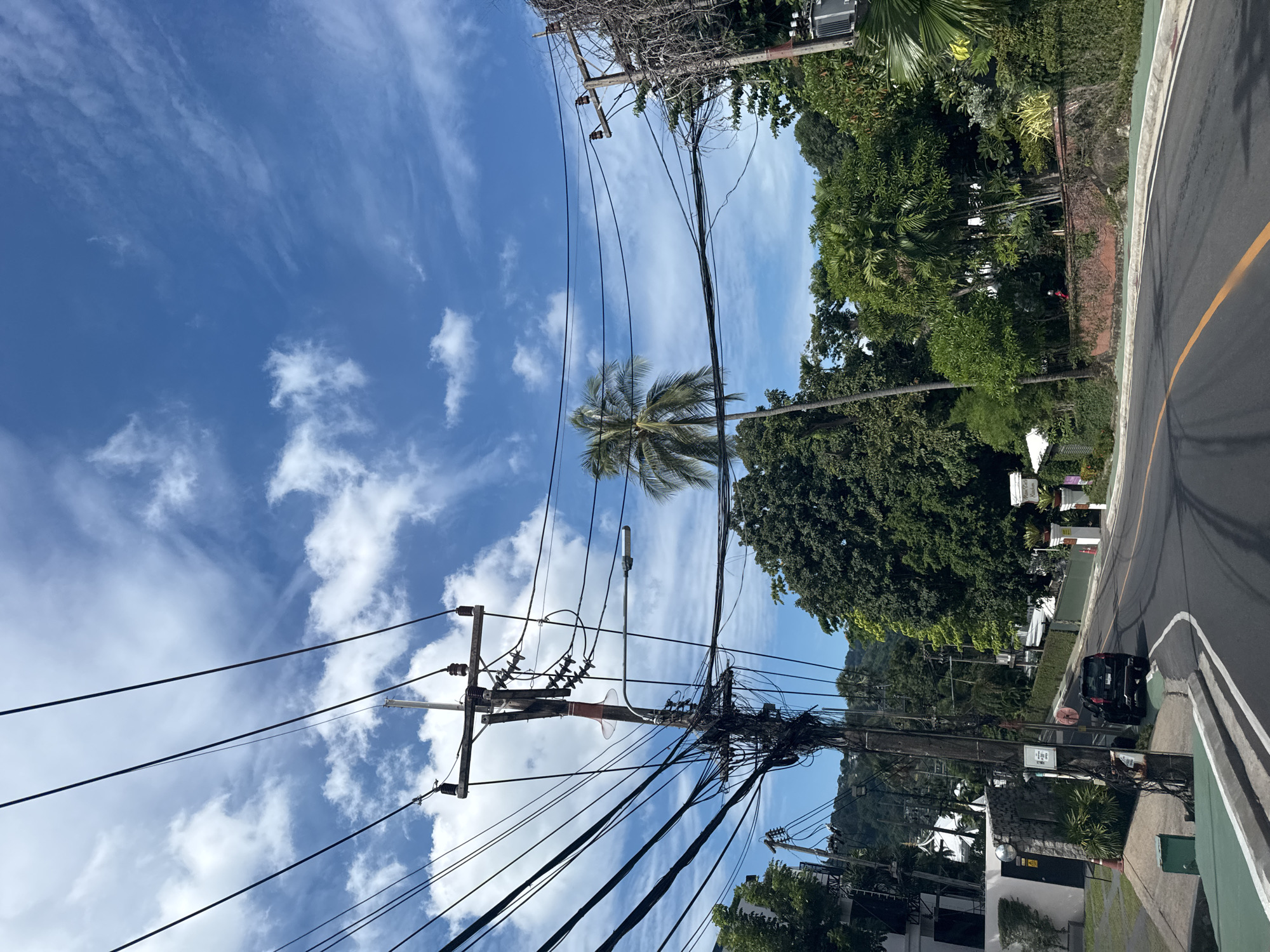 A black SUV is parked on the side of a paved road. The road curves to the right and is bordered by a green curb and white lane markings. Overhead, a complex network of power lines is strung between wooden utility poles, with a palm tree visible behind them. The sky is blue with scattered white clouds. Lush green trees and vegetation line the side of the road, and buildings are visible in the distance. A lamppost is mounted on one of the utility poles.