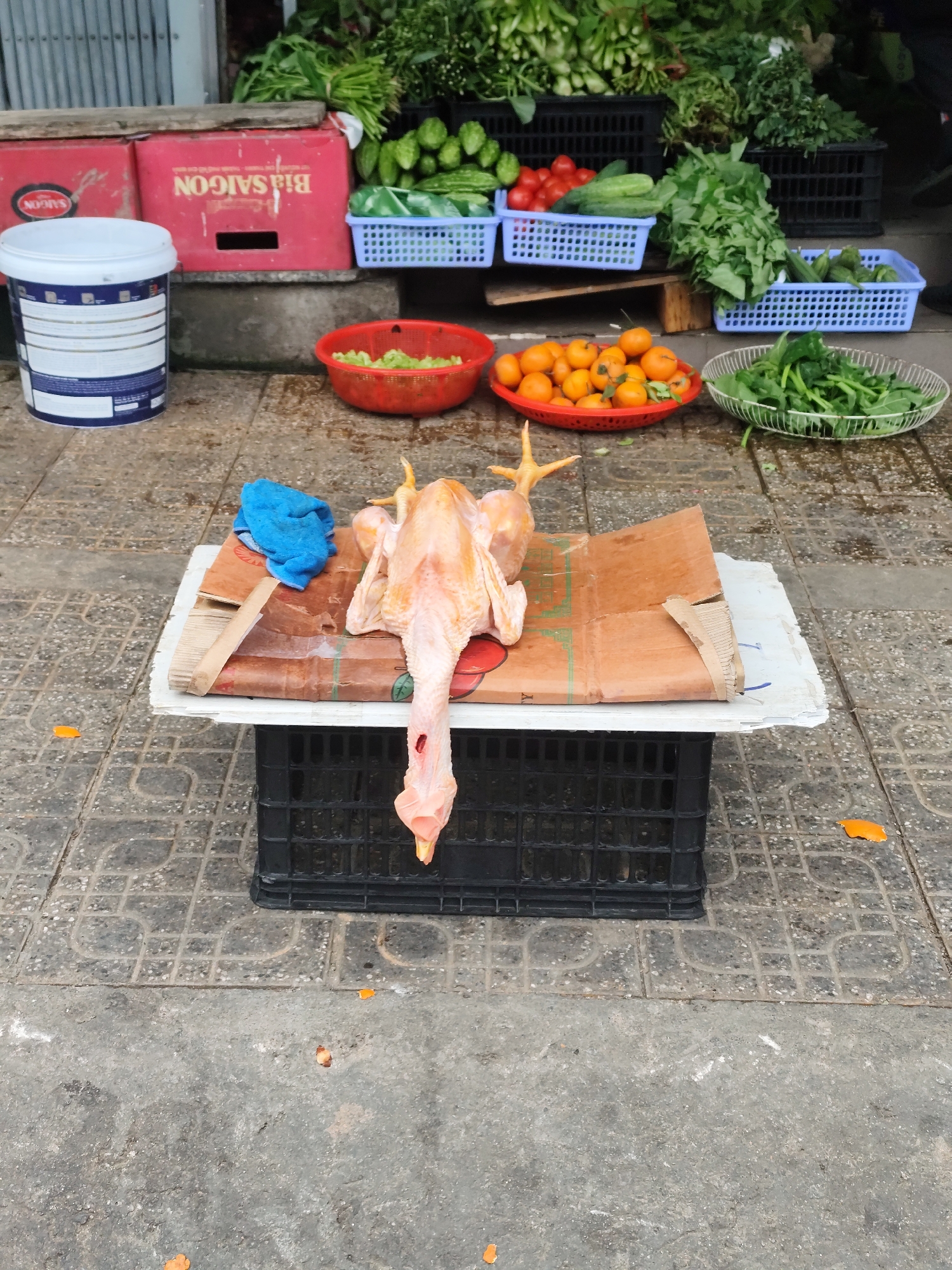 Captured in Cam Ly - Đà Lạt, Vietnam, the image shows a plucked chicken laid out on a makeshift table composed of a white plank atop a black plastic crate. The table is covered with a piece of cardboard and a blue rag. The chicken is positioned head-down, with its bare skin and legs visible. Behind the table, a variety of fresh produce is arranged in baskets and trays on the ground. These include green vegetables, tomatoes, cucumbers, and small oranges. To the left, there's a paint bucket, and a beer crate is visible in the background. The ground is tiled with a patterned grey surface, and scattered orange peels are visible.