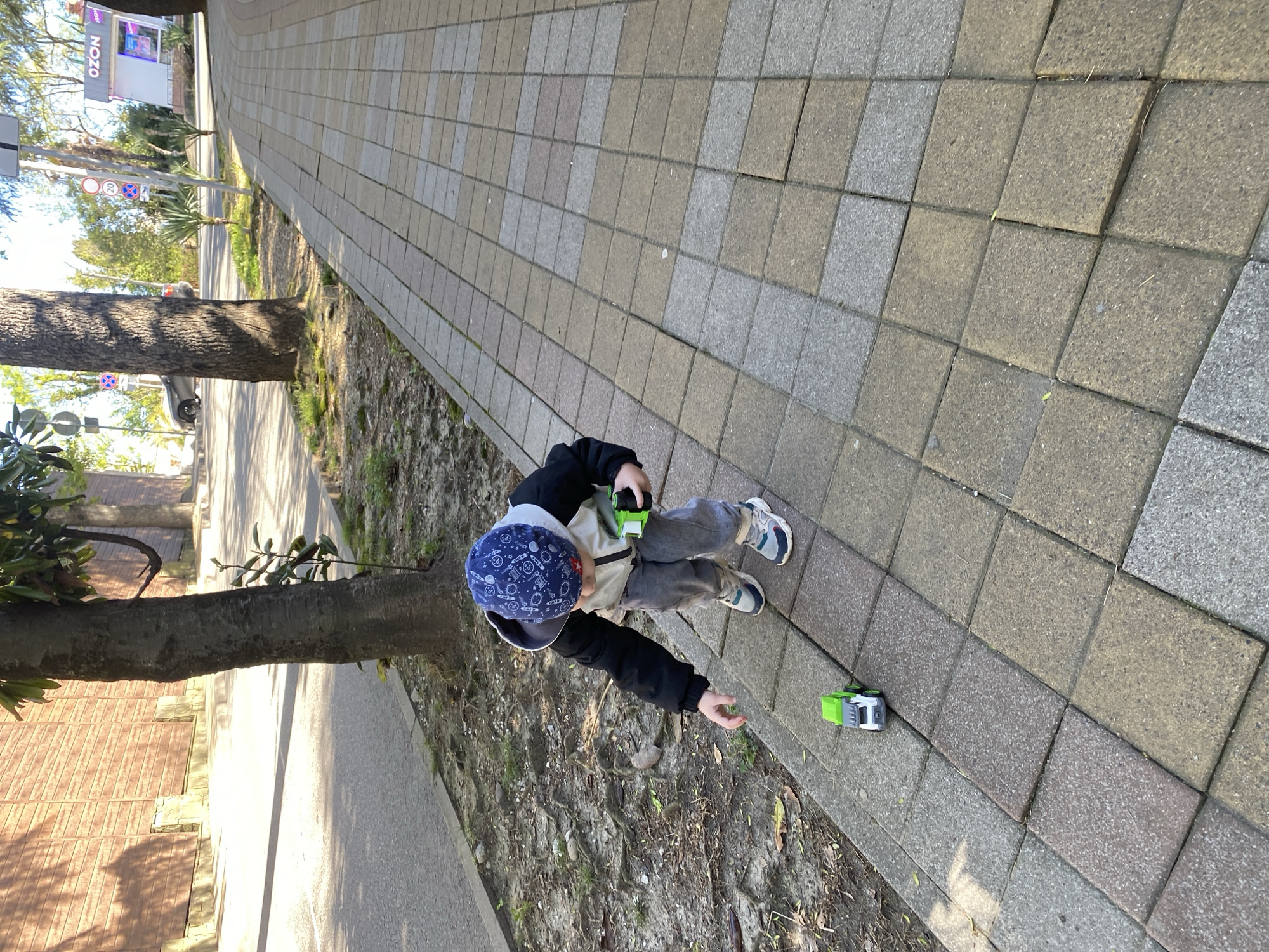 The image depicts a young child engrossed in play with toy cars on a paved sidewalk in Sochi, Russia. The scene is captured from a high-angle perspective, looking down at the child and the immediate surroundings. The child, appearing to be a boy, wears a blue patterned cap, a black jacket over a light-colored top, grey trousers, and white and blue sneakers. He holds a green and white toy car in his left hand, while another identical toy car rests on the ground beside him to the right. His right hand is extended downwards, indicating active engagement with the toys, possibly moving or reaching for one of them.
The sidewalk is constructed from square paving stones, arranged in an alternating pattern of light grey and brownish-grey tones. Adjacent to the sidewalk, to the child's right, is an unpaved area of dirt with visible tree roots and sparse green vegetation. Further left, a large tree trunk stands, partially obscuring a road or pathway.
In the background, across the road, a commercial building features a prominent blue sign displaying "OZON," a Russian e-commerce company, with the word "Stop" visible beneath it. Nearby, several road signs are discernible, including a red circular sign with a white bar (indicating 'No Entry' or 'Stop') and another red circular sign with the number "20" (a speed limit). Palm-like trees are also visible, consistent with the subtropical climate of Sochi. The setting is illuminated by bright, direct sunlight, casting clear shadows, indicating it is daytime with clear weather.