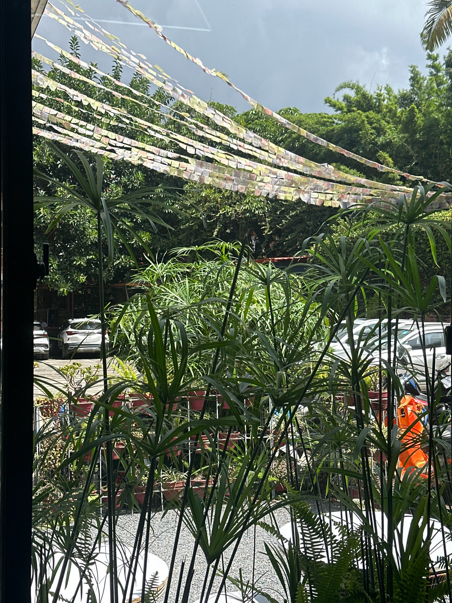 The image captures a view through a dark-framed window looking out onto a lush, green outdoor area in Lalitpur, Nepal. In the foreground, several tall, thin-stemmed plants with feathery fronds dominate the scene, obscuring much of the background. Beyond these plants, a variety of other greenery, including trees and bushes, can be seen. Stretched across the upper portion of the frame, between the trees and the sky, are multiple strands of colorful prayer flags, a common sight in Nepal. In the mid-ground, several white vehicles are parked, one with its rear facing the camera. To the right, an individual wearing an orange safety vest is partially visible, standing near the parked vehicles. The ground appears to be covered in a mixture of gravel and pavement. The sky overhead is overcast, suggesting a cloudy day. The overall impression is one of a vibrant, natural setting juxtaposed with urban elements.