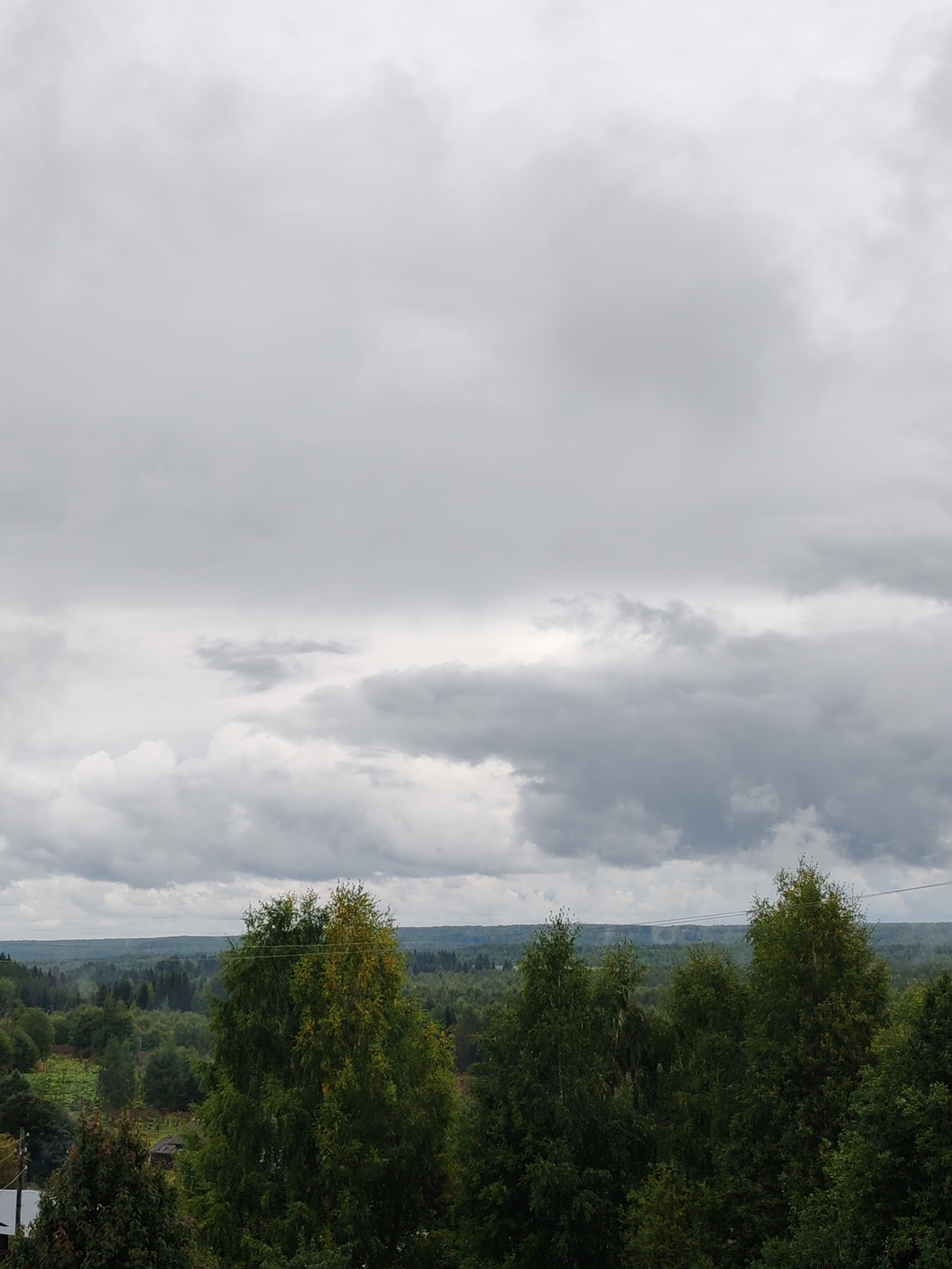 The image depicts a panoramic view of a wooded landscape under a heavily overcast sky. In the foreground, a dense canopy of green trees dominates the lower portion of the frame, with a few trees exhibiting yellowing leaves, suggesting an autumnal transition. A singular, lighter-colored tree, possibly birch, stands prominently in the mid-ground, its foliage showing a mix of green and yellow. In the distance, layers of evergreen forests recede towards the horizon, which is a hazy line of dark green against the muted sky. A faint, horizontal band of lighter color, possibly indicating distant hills or a tree line, can be observed just above the forest canopy. The sky itself is filled with thick, gray clouds, with some brighter patches suggesting the presence of sunlight struggling to break through. A thin, dark power line stretches horizontally across the upper part of the distant landscape. No people or specific structures are clearly visible in the scene, emphasizing the natural, rural setting. The overall atmosphere is somber and tranquil, characteristic of a cloudy, perhaps damp, day in a forested region. The provided hints and the original image suggest a location within or near the city of Чухлэм, Russia, characterized by its abundant forestation.