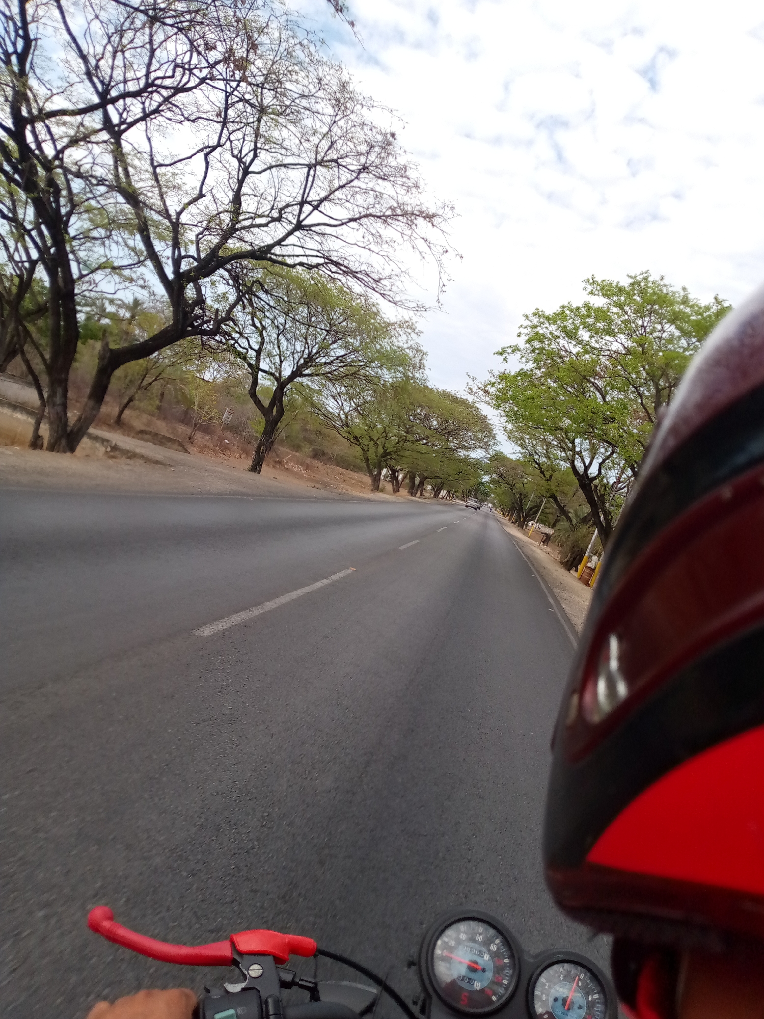 The image depicts a first-person perspective of a motorcycle rider traveling on a paved road. The rider is wearing a red and black helmet, which is partially visible in the foreground. The motorcycle has a red hand grip, analog gauges, and black handlebars. The road stretches into the distance and is bordered by trees. The trees on the left side of the road appear mostly bare, while the trees on the right side are green. The sky is partially cloudy. The scene is likely a road in Las Barrancas, Venezuela, given the prompt's specification. There are distant vehicles on the road.