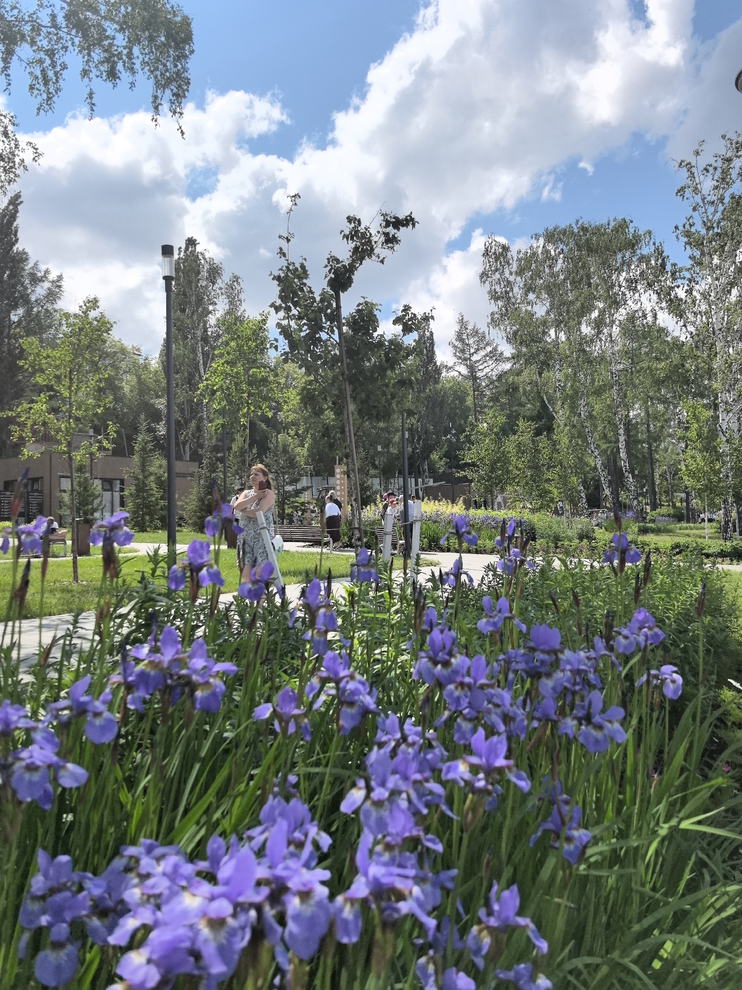 A low-angle shot captures a vibrant park scene with a focus on purple irises in the foreground. Beyond the flowers, a paved walkway leads into the park, where several individuals are visible. A woman in a patterned dress stands near the walkway, holding a phone and appearing to take a photo. Further in the background, other people are seated on benches and walking. The park features manicured lawns, lush green trees, and birch trees with their distinctive white bark. A tall lamp post stands on the left side of the walkway. The sky above is a bright blue with scattered white clouds. The architecture of a modern building is visible through the trees on the left. This park setting is characteristic of public green spaces found in the city of Perm, Russia, possibly within a residential area or a dedicated park.