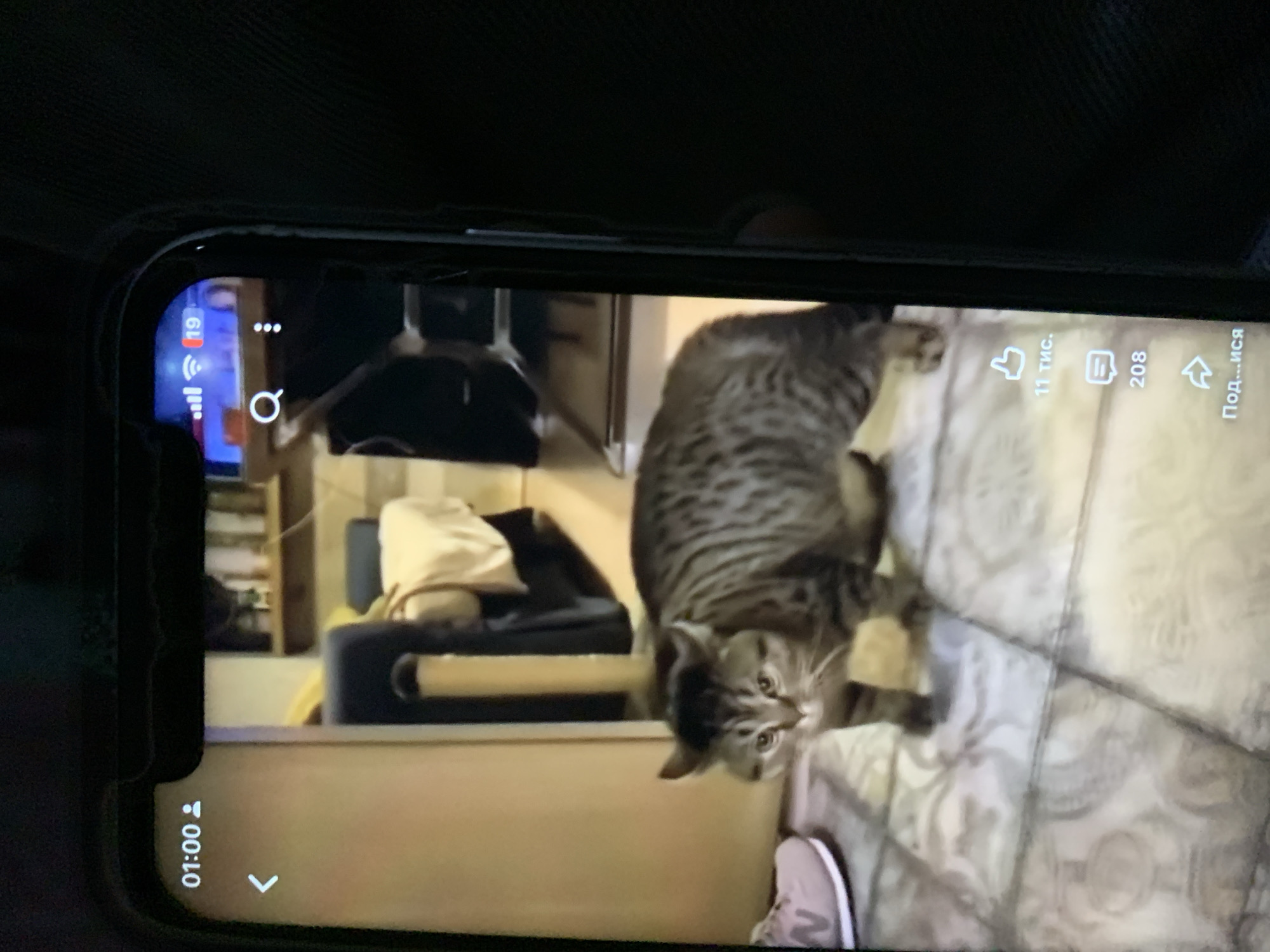 A low-angle, medium shot captures a tabby cat standing on a patterned tile floor, facing the camera. The cat has gray and brown stripes, green eyes, and prominent ears. To the left of the cat, a pink sneaker with the letter "N" is visible. The background is out of focus, showing a blurred room with furniture, including a sofa and shelves. The image is displayed on a smartphone screen, with the phone's interface visible. The top left of the screen shows "01:00" and a user icon. The top right displays signal strength, Wi-Fi, and a notification count of "19." Below these icons, a search icon and a three-dot icon are present. Along the right edge of the screen, there are icons for likes, comments, and shares, with "11 тис." (11 thousand) likes and "208" comments displayed. The image is not in Zhmerynka, Ukraine.