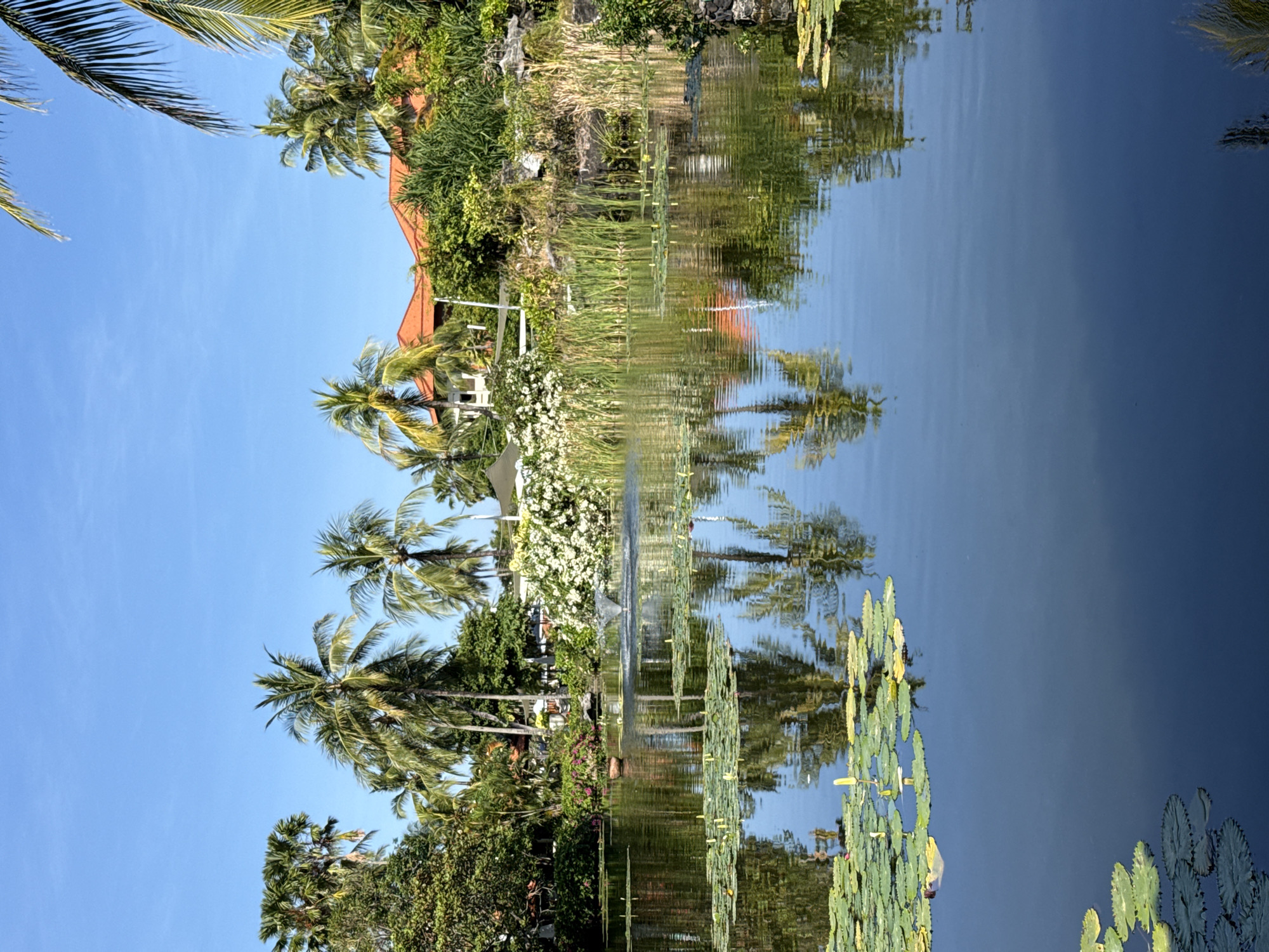 The image shows a body of water reflecting the surrounding landscape. Palm trees and other vegetation line the bank, with a building featuring a red tile roof visible in the background. Lily pads float on the surface of the water. The sky is clear and blue. The location is Kuta Selatan, Indonesia.
