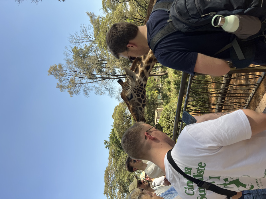 The image depicts an outdoor scene at the Giraffe Centre in Nairobi, Kenya, under a clear blue sky. A Rothschild's giraffe (Giraffa camelopardalis rothschildi) extends its head and upper neck over a dark, wavy metal railing towards a group of individuals standing on an elevated wooden viewing platform. The giraffe's eyes are partially closed, and its mouth is slightly open.
In the foreground, two male individuals are prominently featured from behind. The male on the left, with short hair and wearing sunglasses, dons a white short-sleeved t-shirt with green text. He is looking down at a smartphone held in his hands. A black cross-body bag is slung over his shoulder. The male on the right, also wearing sunglasses, sports a navy blue t-shirt and a dark backpack with a light green water bottle secured in a side pouch. He is oriented towards the giraffe.
Several other individuals are partially visible behind the foreground figures, observing the giraffe. The environment beyond the railing features dense green vegetation, scattered trees, and a wooden fence structure in the mid-ground, indicating an animal enclosure. The sky is clear and blue, suggesting bright, sunny conditions.