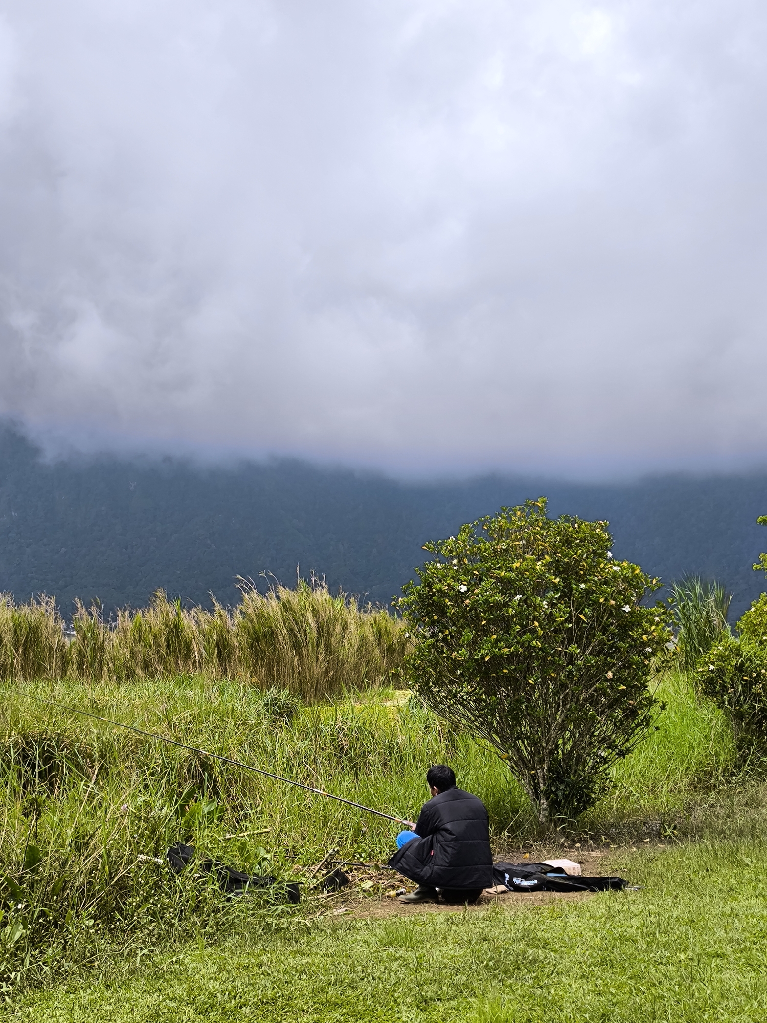 A medium shot depicts a man fishing in a rural location in Bedugul, Indonesia. The man, facing away from the viewer, is seated on a grassy patch, wearing a black jacket and blue pants. He holds a fishing rod, which extends into the tall grass. A black bag and other items are spread out next to him. In the background, there is a dense bush with white flowers and a field of tall, brown grass. Further back, a mountain range is partially obscured by low-hanging clouds. The sky above is overcast and grey.