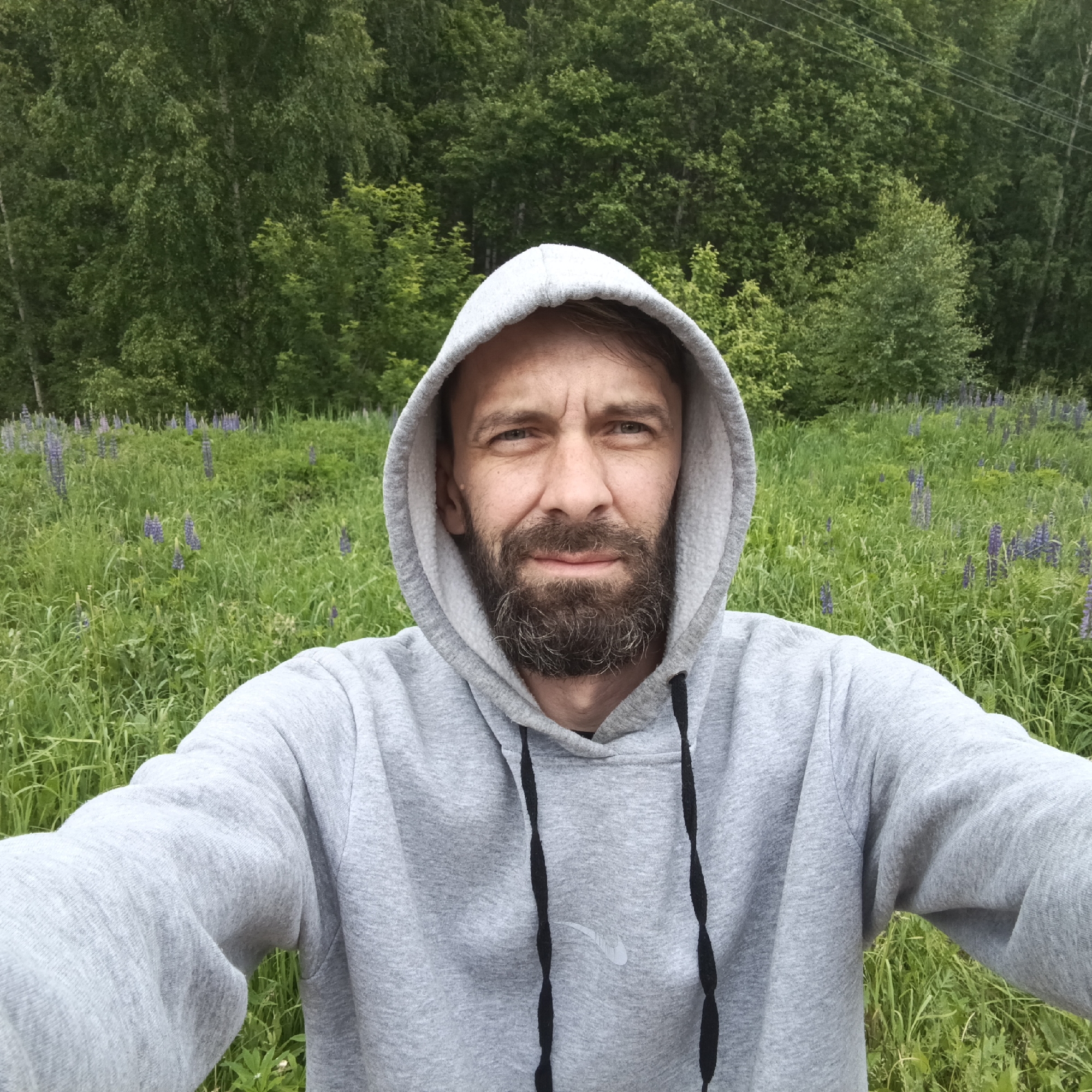 A man with a beard and mustache, wearing a grey hooded sweatshirt, takes a selfie in an outdoor setting. He looks directly at the camera with a neutral, slightly serious expression and a furrowed brow. His hooded sweatshirt has black drawstrings and a faint white Nike swoosh logo on the front.
The background features a dense forest of green trees. In the midground, there is a vibrant green field dotted with numerous purple lupine flowers. The lighting suggests it is daytime, possibly overcast, as there are no harsh shadows. The scene portrays a natural environment, likely rural or semi-rural, consistent with the location of Марковский, Russia.