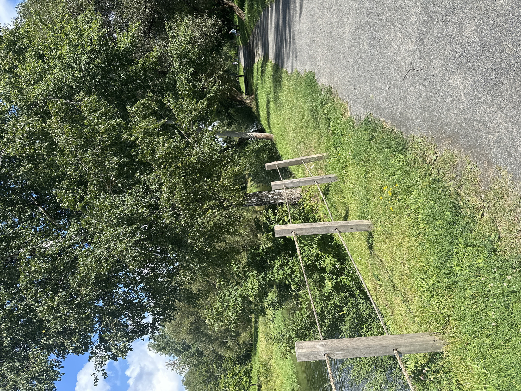This image shows a paved pathway curving to the right through a park-like setting. To the left of the pathway, there is a grassy area with a wooden fence made of posts and rope, separating it from a body of water. Lush green trees and foliage line the pathway and the water's edge. The sky is blue with scattered white clouds. In the distance along the pathway, several people can be seen walking and sitting on a bench. The scene suggests a sunny day in a recreational area, likely a park or a riverside trail. Based on the visual cues of a well-maintained pathway, abundant greenery, and recreational activities, this could be a location such as Loshitsa Park in Minsk, Belarus.