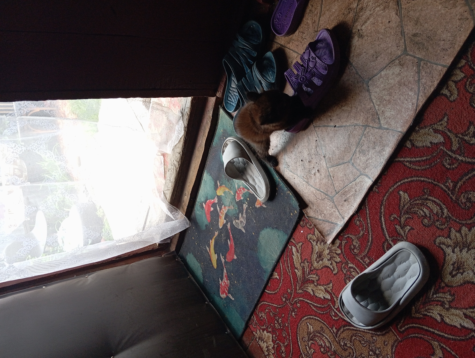 A dark-colored kitten is playing with a purple sandal on a tiled floor in a room. The kitten is partially silhouetted against the light coming from a window with a sheer white curtain. Next to the kitten are two blue sandals and another purple sandal. In the background, a mat with a koi fish design is visible, along with a red rug. This scene is consistent with an interior domestic setting in Barnaul, Russia.