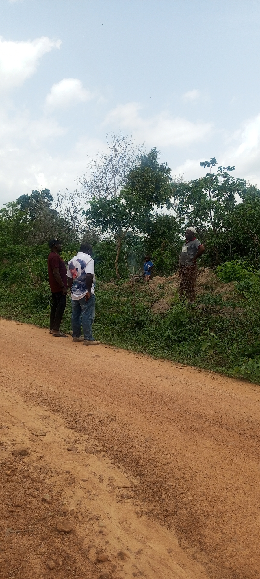 The image depicts an outdoor scene in what appears to be a rural or undeveloped area in Otunade, Nigeria, during daylight hours under a cloudy sky. A wide, reddish-brown dirt road, showing signs of vehicle tracks and loose gravel, stretches across the foreground. To the right and extending into the background, the landscape is covered in dense green vegetation, including various trees and bushes, some of which have bare branches.
There are at least five people visible. In the left foreground, two men stand on the edge of the dirt road, facing towards the vegetation. One wears a dark red shirt and a black baseball cap, while the other wears a white t-shirt with a blue and white bird graphic, blue jeans, and light-colored shoes. Further into the vegetation on the right, a woman stands with her hands on her hips, dressed in a grey t-shirt, a white cap, and a patterned wrap-around skirt. Nearby, a child in a blue shirt is partially visible, standing close to a small plume of grey smoke rising from the ground, indicating a fire or burning activity. Another individual is faintly visible behind the child, also near the smoke. The individuals appear to be observing or involved in the activity related to the smoke. No text is visible in the image.