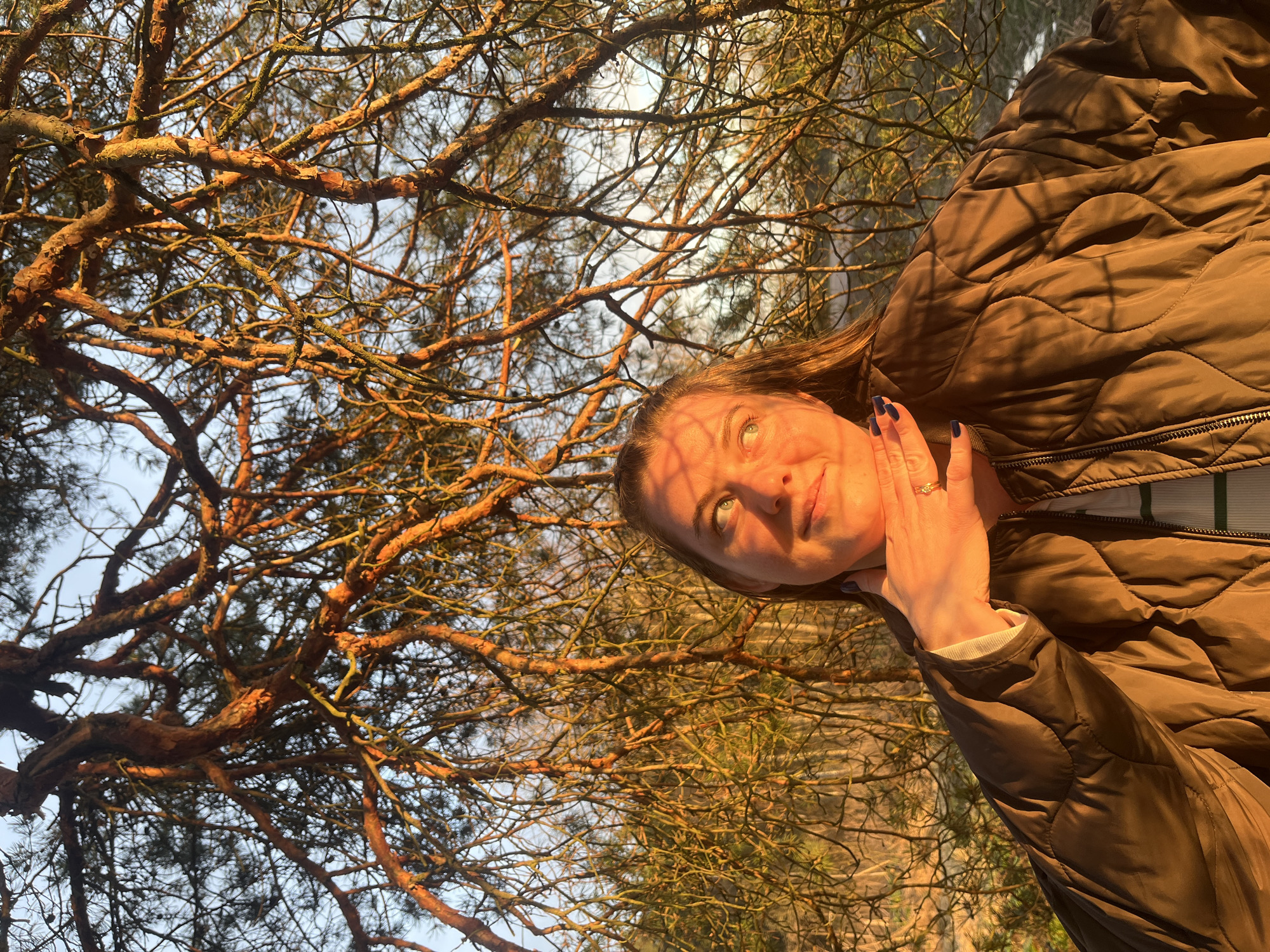 An outdoor portrait, correctly oriented, features a woman positioned on the right side of the frame, looking upwards and slightly to the right. She has light brown hair and her face is illuminated by warm, golden light, indicating either sunrise or sunset. Shadows from overhead tree branches cast dappled patterns across her face, highlighting her eyes and a calm expression. Her right hand, with dark blue nail polish and a ring on her fourth finger, is gently touching her chin or neck. She is wearing a dark, possibly olive-green, quilted jacket with a zipper, layered over a striped shirt (white with thin green or blue stripes).
The left and upper portions of the image are filled with the dense, intricate branches of pine trees. The strong golden hour light brilliantly illuminates the rough, reddish-brown bark of these branches, emphasizing their texture and gnarly forms. Sparse green pine needles are visible among the branches. The clear, light blue sky is visible through the gaps in the foliage, suggesting fair weather. The scene conveys a peaceful and natural atmosphere, likely in a forest or park setting in Razdol'e, Russia, with the warm light being a prominent element. No visible text is present.