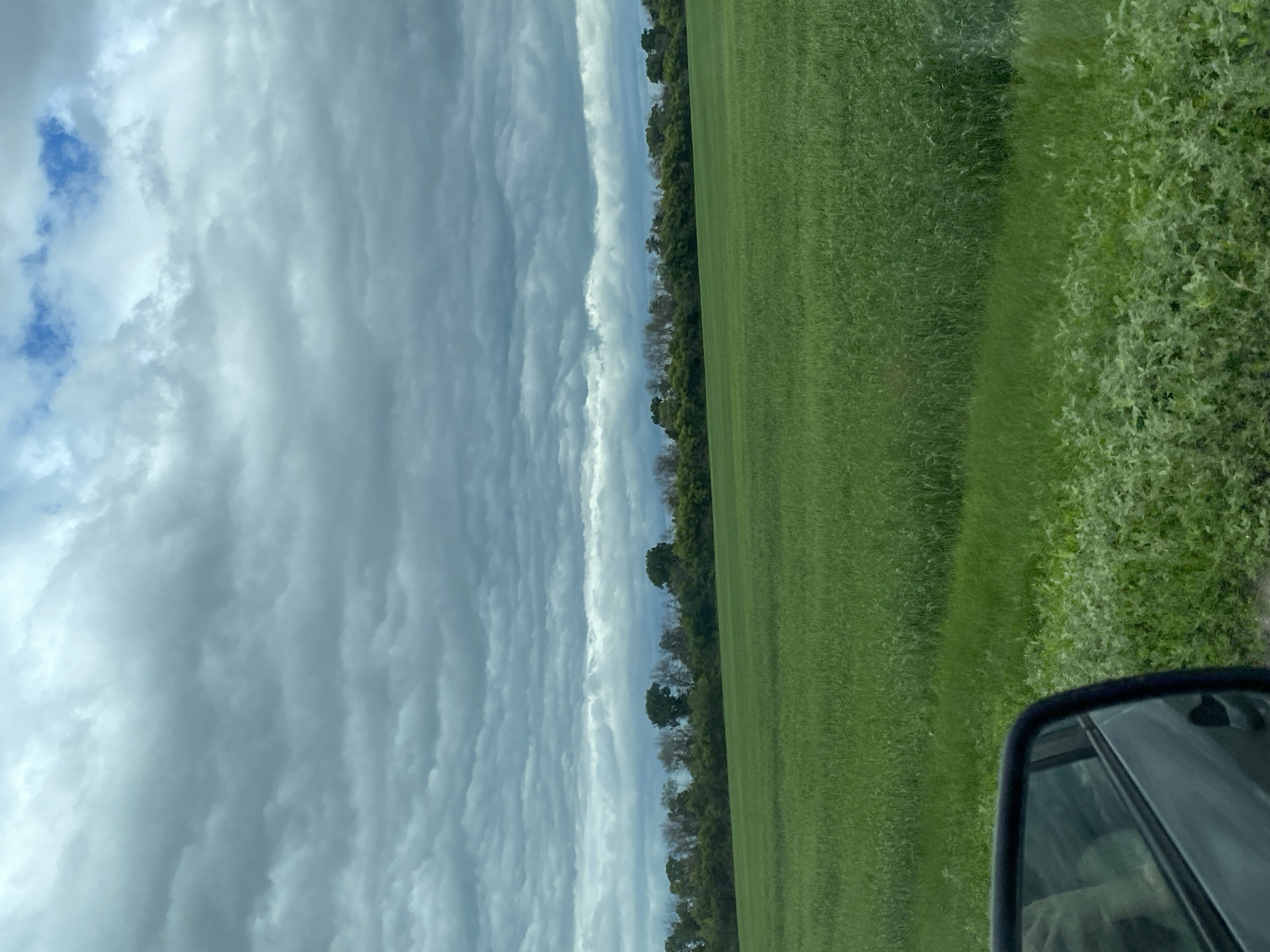 The image shows a wide, green field under a cloudy sky. A line of trees and vegetation borders the far edge of the field. In the lower left corner, the reflection of a person can be seen in a car's side-view mirror. The overall scene suggests a rural or agricultural landscape, possibly in the city of Nadezhdino, Russia.