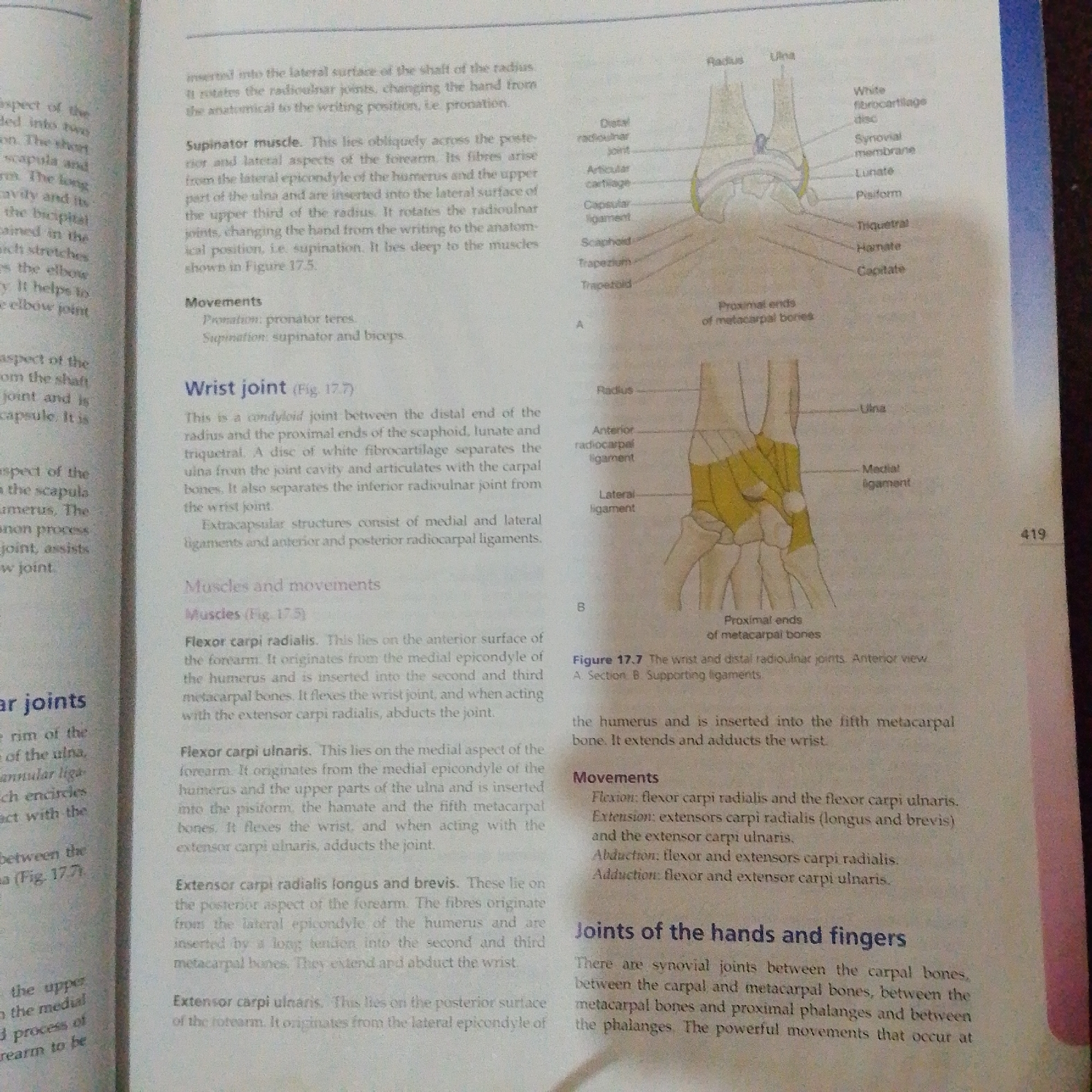 This media file is a photograph of an open book, likely a medical or anatomy textbook. The focus is on two pages of text accompanied by anatomical diagrams of the wrist and hand. The subjects are the printed words and the illustrations. The objects are the book itself, open to reveal the pages, and the diagrams depicting bones, ligaments, and joints of the human upper limb. The scene is static, a close-up of book pages. There are no people, animals, or environmental elements visible.
The text discusses the anatomy and movements of the wrist joint, including specific muscles like the supinator, flexor carpi radialis, flexor carpi ulnaris, extensor carpi radialis longus and brevis, and extensor carpi ulnaris. It also details the joints of the hands and fingers. The diagrams illustrate these structures, with labels such as "Radius," "Ulna," "Scaphoid," "Lunate," "Pisiform," and various ligaments.
Notable details include the page number "419" printed on the right side of the right-hand page, indicating a specific section within the book. The diagrams are colored, with yellow highlighting certain areas, possibly indicating muscle or ligament groups. The image quality is moderate, with some blurriness, especially around the edges and in smaller text.
There is no information within the image to suggest a specific time of day, weather, or emotions. The location context provided ("Jalingo, Nigeria") is external to the image content and cannot be inferred from the photograph itself. The activity taking place is the presentation of anatomical information through text and diagrams.