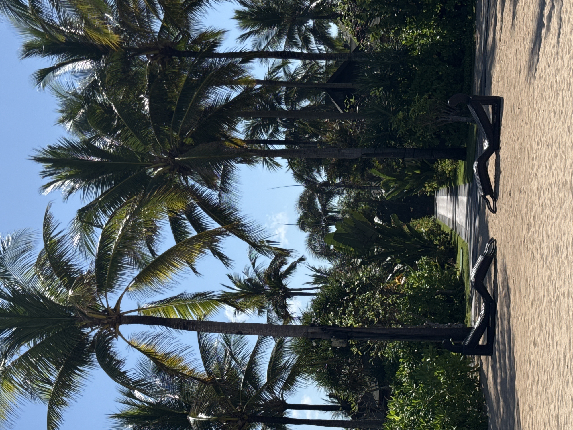 The image depicts a tropical scene with a clear blue sky and lush green palm trees dominating the upper portion. In the foreground, two abstract, dark-colored sculptures resembling reclining figures are positioned on a sandy beach. A pathway, paved with light-colored material, leads into the distance, flanked by dense vegetation and more palm trees. The overall impression is of a serene and inviting tropical resort setting. This scene is consistent with the atmosphere of upscale resorts in Kuta Selatan, Indonesia, known for its beautiful beaches and tropical foliage.
