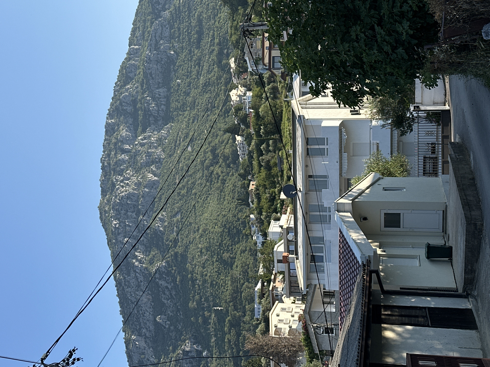 The image shows a residential area in Šušanj, Montenegro, with houses and a large, tree-covered mountain in the background. Power lines are visible in the foreground and midground. The houses are of various sizes and styles, mostly white or light-colored, with tiled roofs. Some houses have balconies and awnings. There are trees and vegetation around the houses, and the mountain is densely covered with green foliage and rocky outcrops. The sky is clear and blue, suggesting it is a sunny day. The scene appears to be a view from a street or pathway looking up towards the mountain.