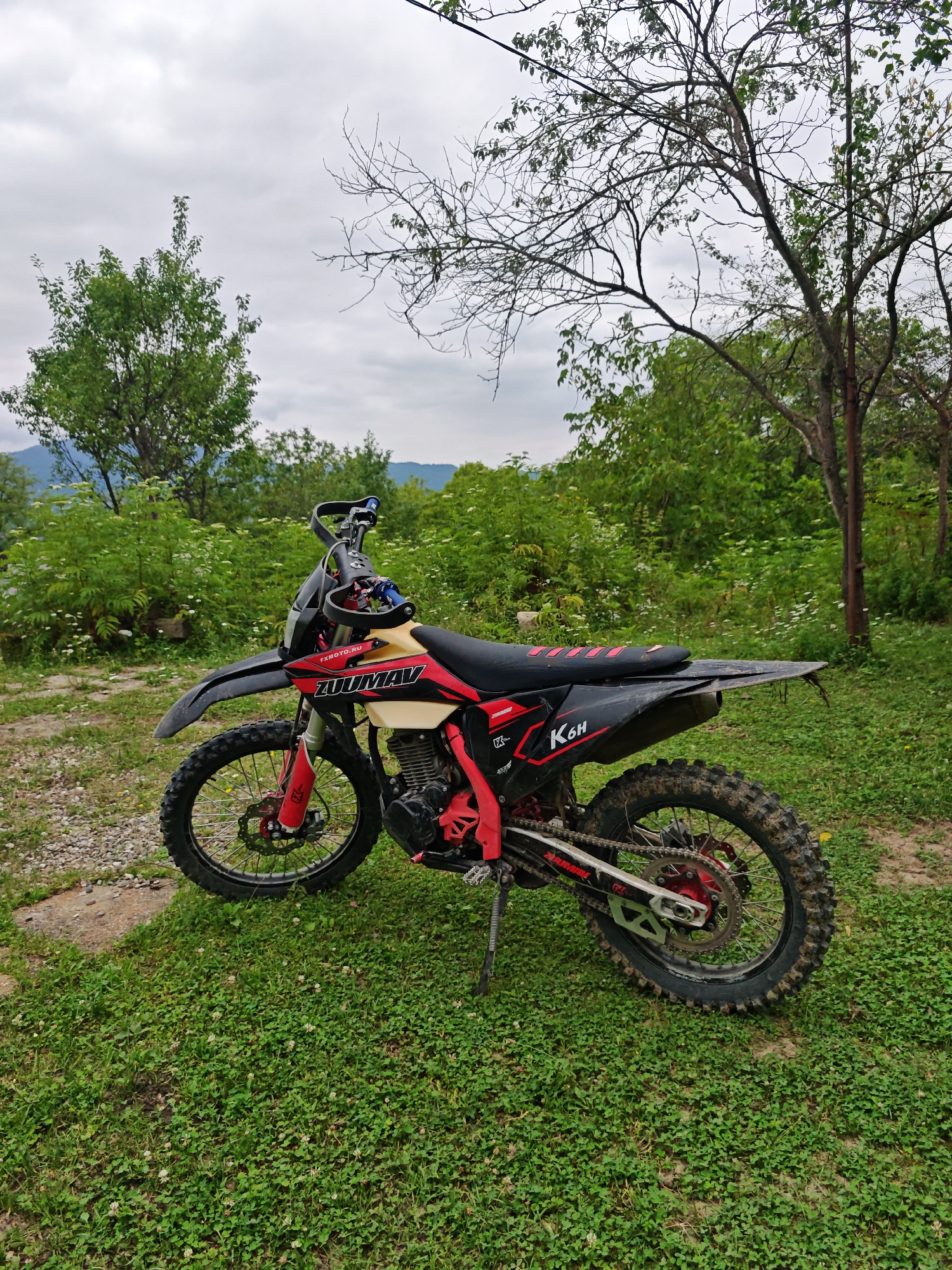 An outdoor, eye-level, medium shot captures a red and black dirt bike parked on a grassy incline under an overcast sky. The dirt bike is positioned diagonally from the lower left to the upper right corner of the frame. Its front wheel is closer to the viewer and is turned slightly to the left. The bike features a black fender, red suspension forks, and a beige fuel tank with red accents. The seat is black with red trim. The rear wheel, partially obscured by the seat, displays a knobby tire and a red brake caliper. The bike has a chain drive and a kickstand deployed.
The background consists of lush green foliage and trees, with some bare branches of a tree visible in the upper right. In the distance, a hazy mountain range can be seen. The ground around the bike is covered in green grass and small white wildflowers, with a patch of gravel to the left. The overall impression is a rural or semi-rural setting. The image is sharp and well-lit, with the colors appearing natural despite the overcast conditions. There are no people visible in the scene.
The location is identified as Sherdy-Mokhk, Russia.