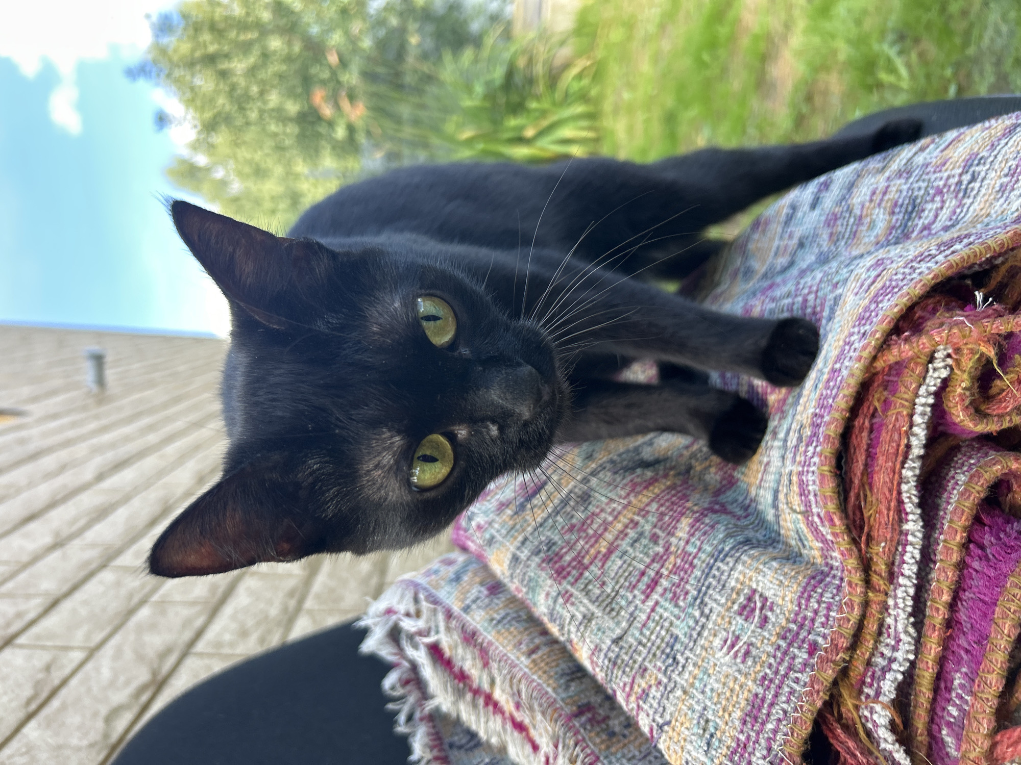 A black cat with green eyes stands on a colorful woven blanket. The cat is looking directly at the camera. In the background, there is a light-colored brick wall and blurred greenery under a blue sky with clouds. The scene is outdoors, with the appearance of a residential yard. There are no people present. The image is a close-up shot of the cat and the blanket.