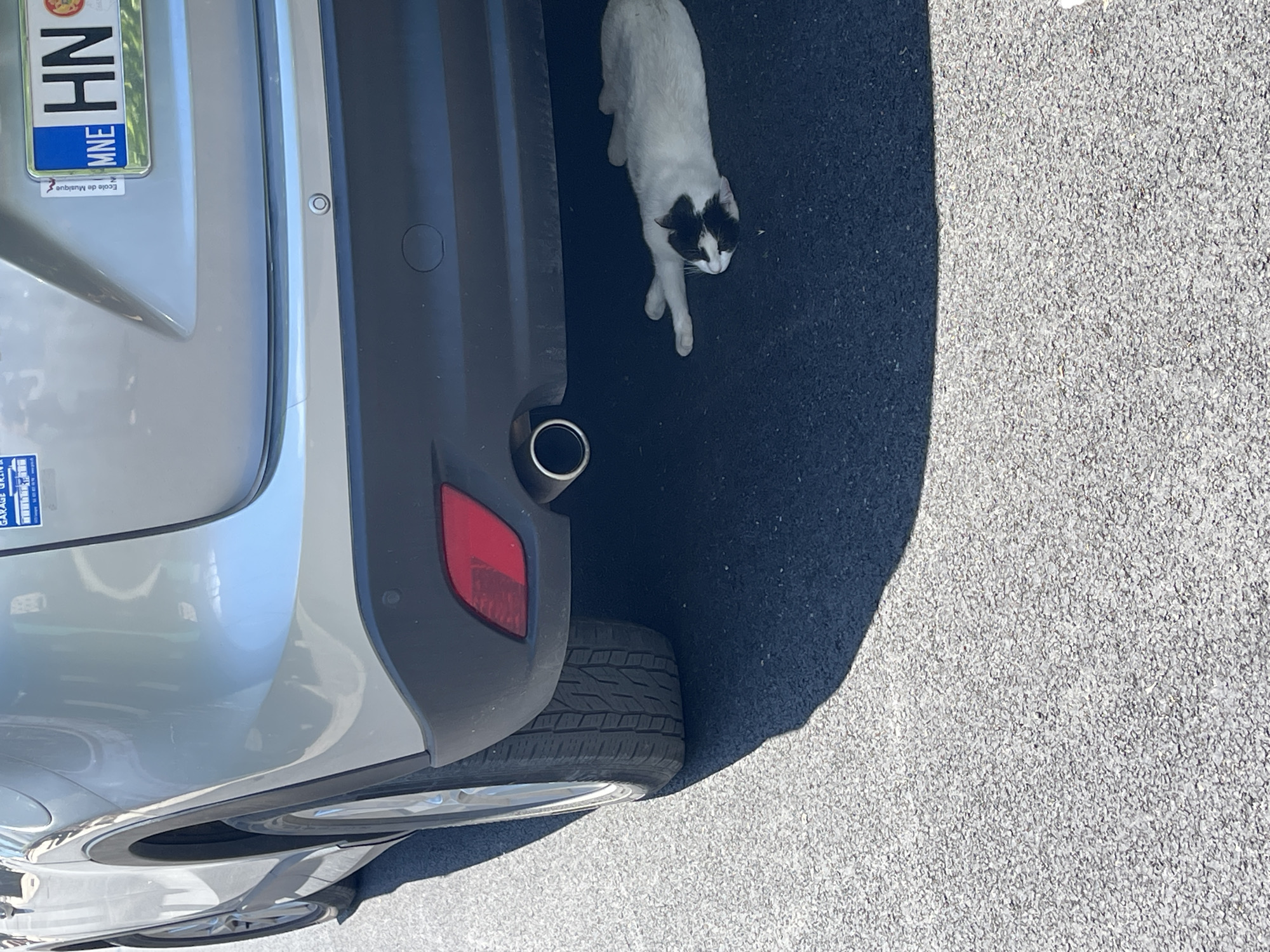 A high-angle, outdoor photograph captures the rear of a silver or light grey car parked on asphalt pavement. To the right of the car, a slender black and white cat stands or walks on the dark shadowed portion of the pavement.
The car features a dark grey or black rear bumper with a visible parking sensor. A shiny, circular exhaust pipe is present on the lower part of the bumper, and a red taillight is partially visible on the left side. The right rear tire, with a clear tread pattern, is also visible.
A Montenegrin license plate is mounted on the rear of the car, displaying "HN" and "MNE". Below the license plate, a small white sticker clearly reads "École de Musique" (School of Music). Another blue and white sticker is partially visible on the lower left of the rear window, but its text is largely obscured.
The cat has a predominantly white body with distinct black markings on its head, particularly around its ears and one eye.
The scene is brightly illuminated by strong sunlight, evidenced by the sharp, dark shadow cast by the car onto the asphalt. The pavement is light grey and textured in the sunlit areas, transitioning to a dark grey where it's in shadow. The image depicts a clear, sunny day in Đenovići, Montenegro, as indicated by the license plate and location context.