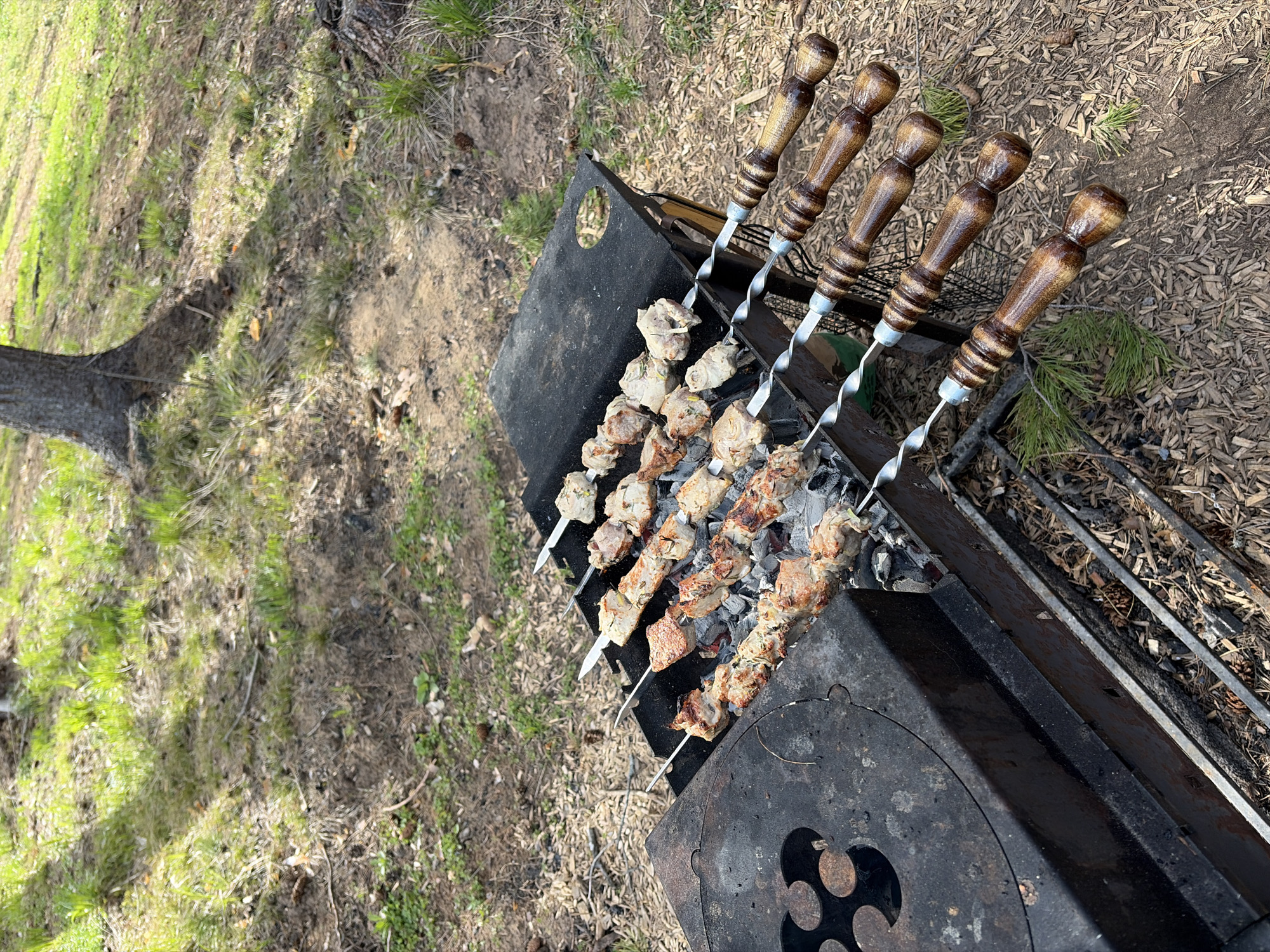 An outdoor, high-angle shot captures skewers of meat grilling over hot coals in a black metal charcoal grill (mangal). Eight skewers are visible, each laden with pieces of marinated meat, some already browned and cooked, while others appear lighter and still cooking. The skewers feature distinctive wooden, carved handles, and metallic twisted shafts. The mangal is a rectangular, open-top grill with glowing charcoal visible beneath the meat. On the bottom right of the grill, a circular plate with decorative cut-out shapes is part of its design.
The setting is a natural, outdoor environment, characteristic of a clearing, backyard, or picnic area in Мишкино, Russia. The ground is a mix of sparse green grass, dry dirt, and scattered pine needles and wood chips, suggesting a natural, possibly wooded, area. A tree trunk is partially visible on the far left. Strong, bright sunlight illuminates the scene, casting distinct shadows and indicating a clear day, likely midday or early afternoon. The image depicts the activity of outdoor cooking, specifically preparing shashlik (grilled skewered meat). No people are visible, but the scene conveys a sense of anticipation for a meal. There is no visible text in the image.