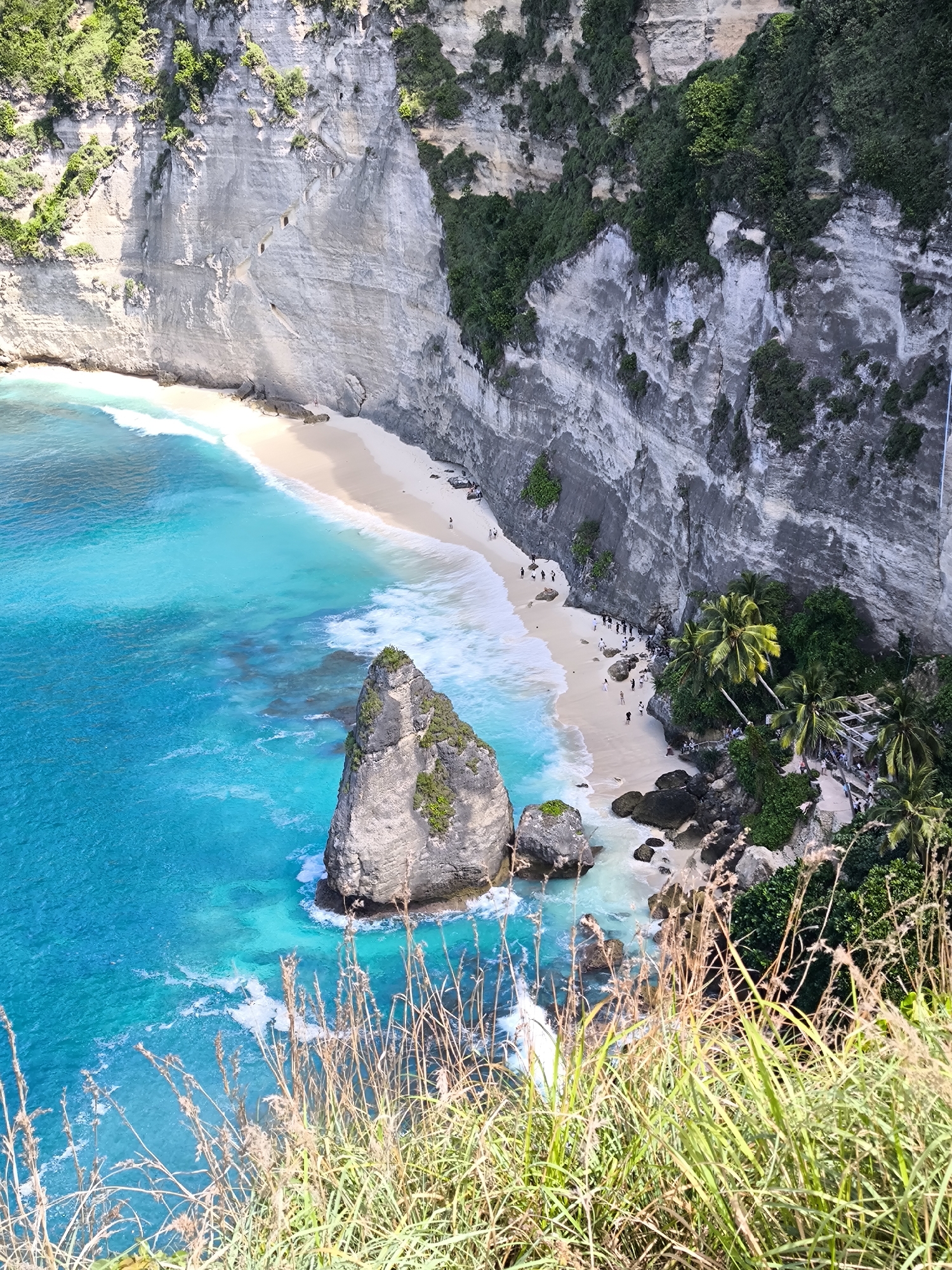 The image shows a scenic view of Kelingking Beach in Nusa Penida, Indonesia. The shot is taken from an elevated perspective, capturing a beach with a large, rocky outcrop in the turquoise ocean. The beach is enclosed by steep, grey-white cliffs covered with patches of green vegetation. The sandy beach is narrow, with several people visible along the shoreline. There are palm trees and other greenery near the base of the cliffs on one side of the beach. In the foreground, there is vegetation like tall grass.